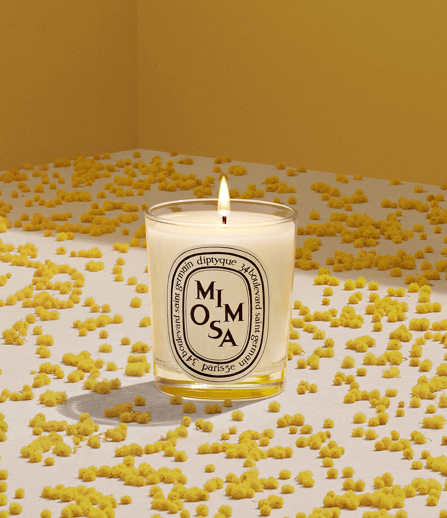 DIPTYQUE Mimosa Candle