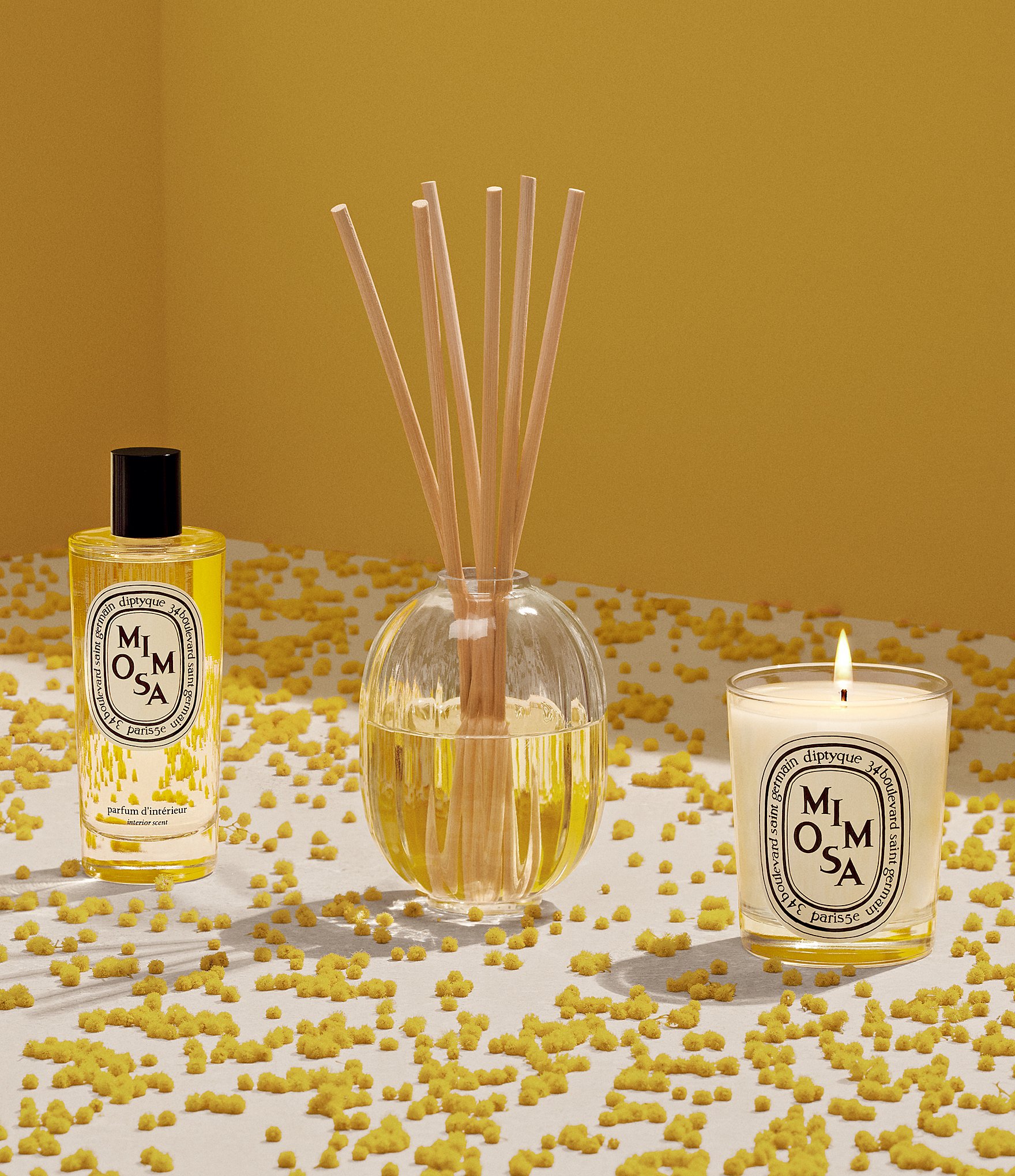 DIPTYQUE Mimosa Candle