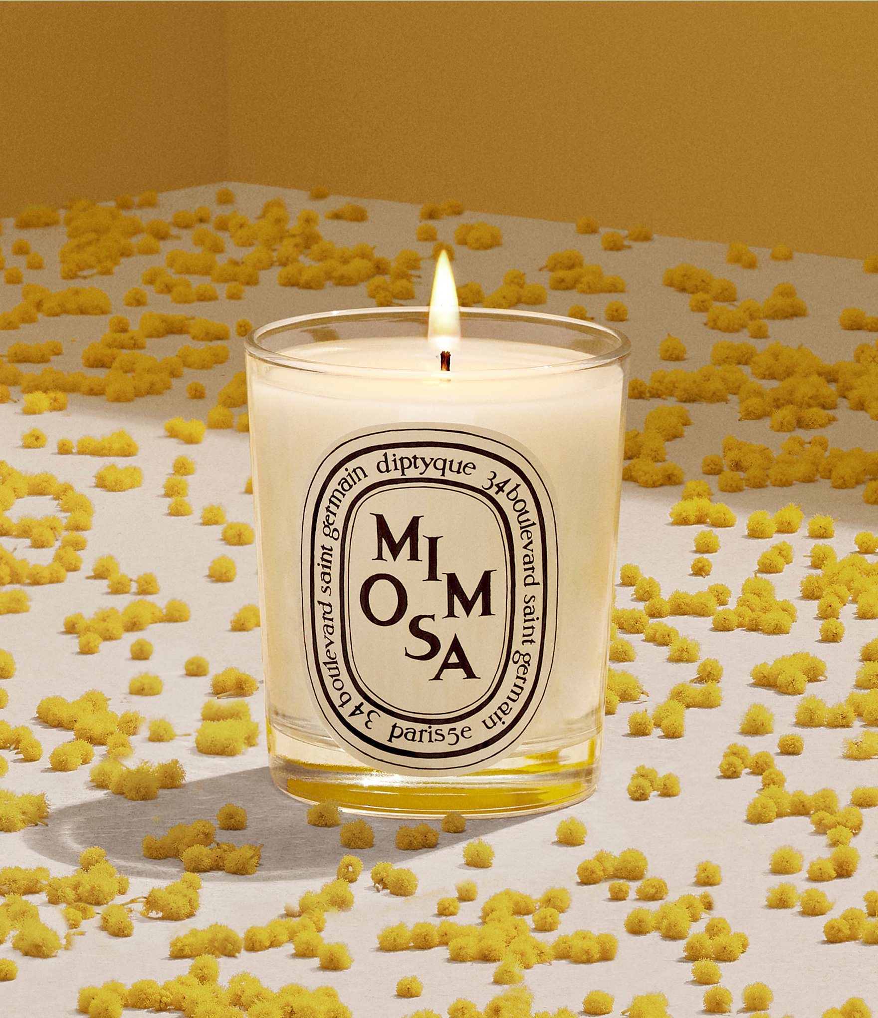 DIPTYQUE Mimosa Candle