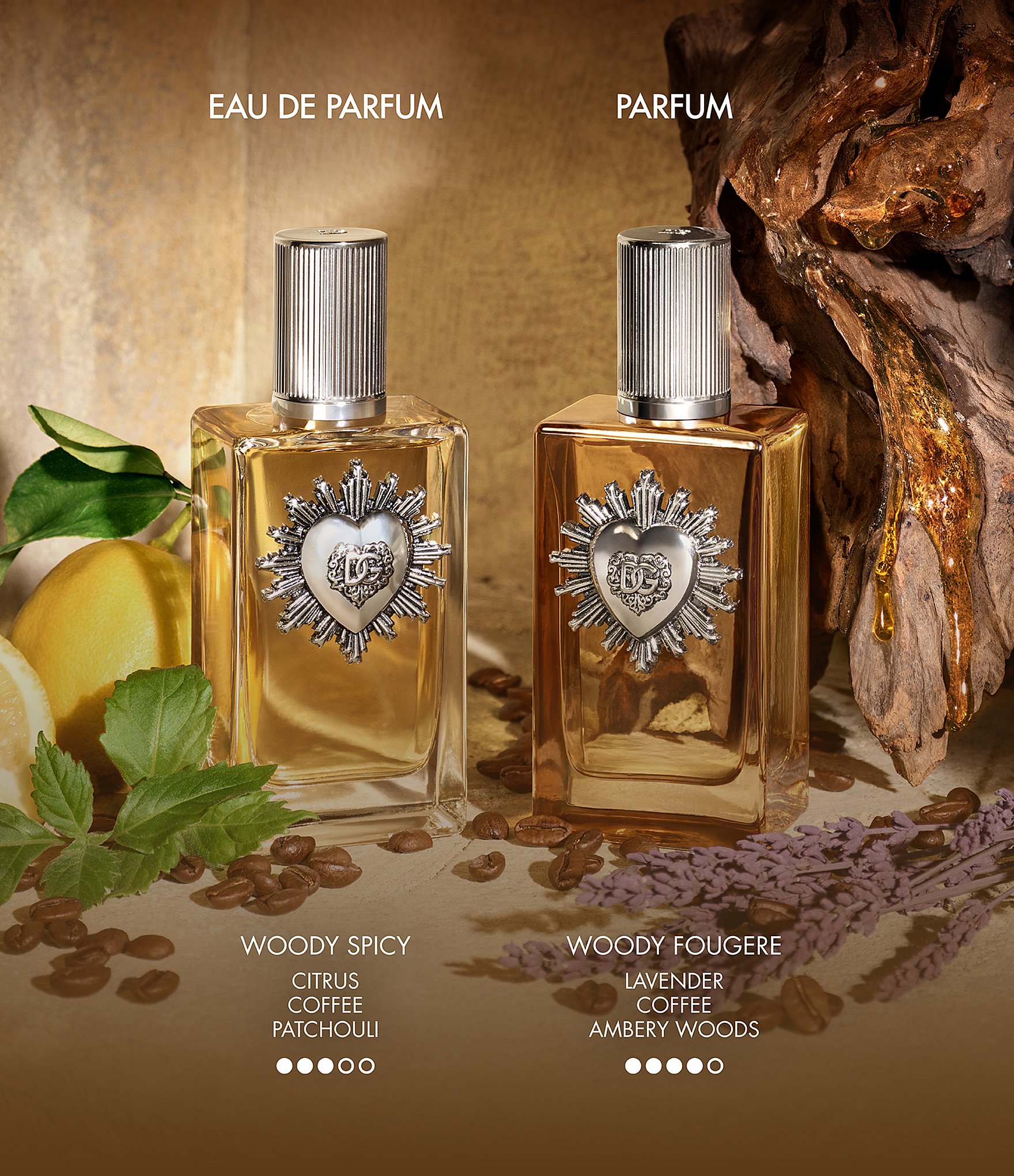 Dolce & Gabbana Devotion For Men Parfum