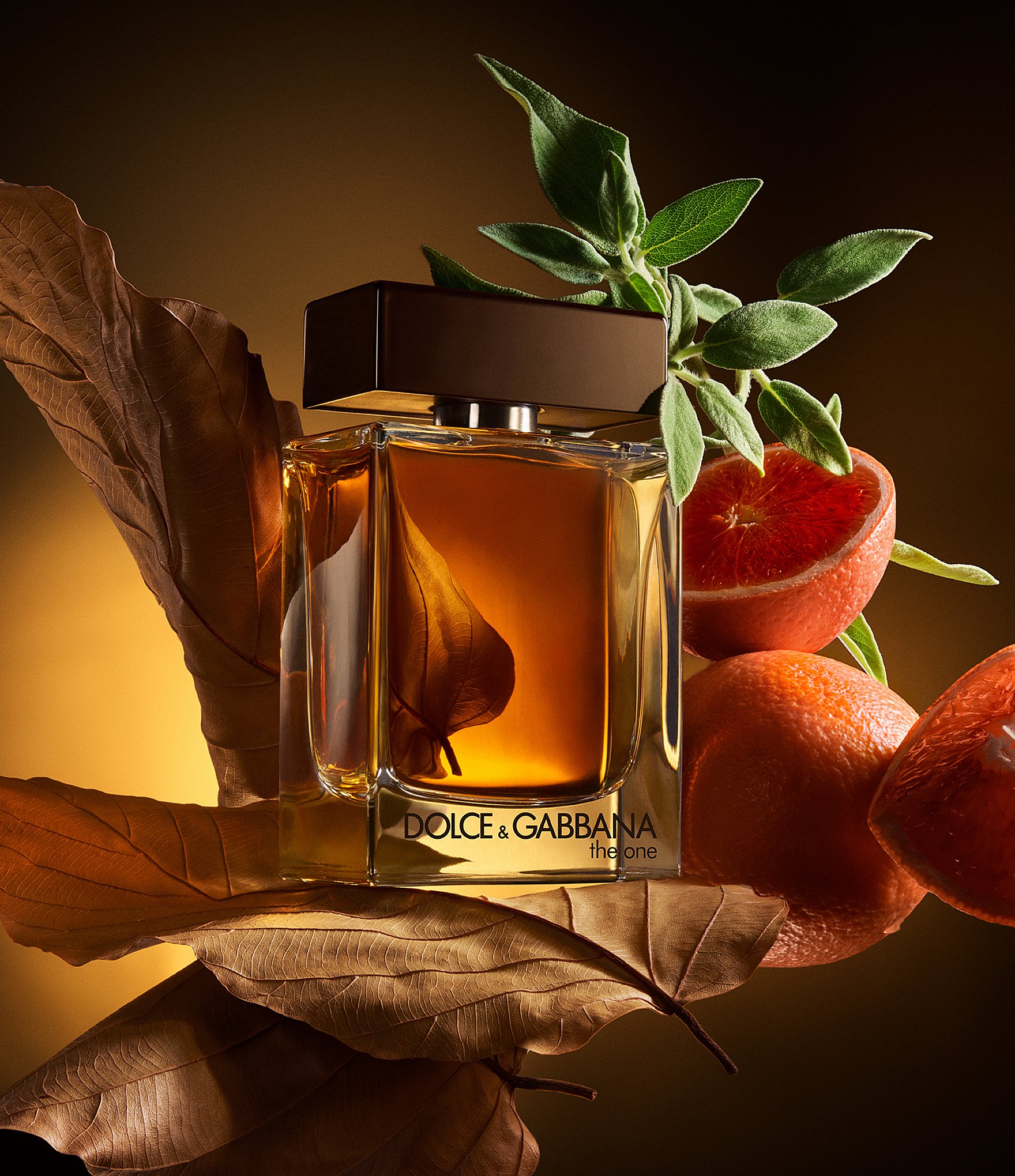 Dolce & Gabbana The One for Men Eau de Parfum