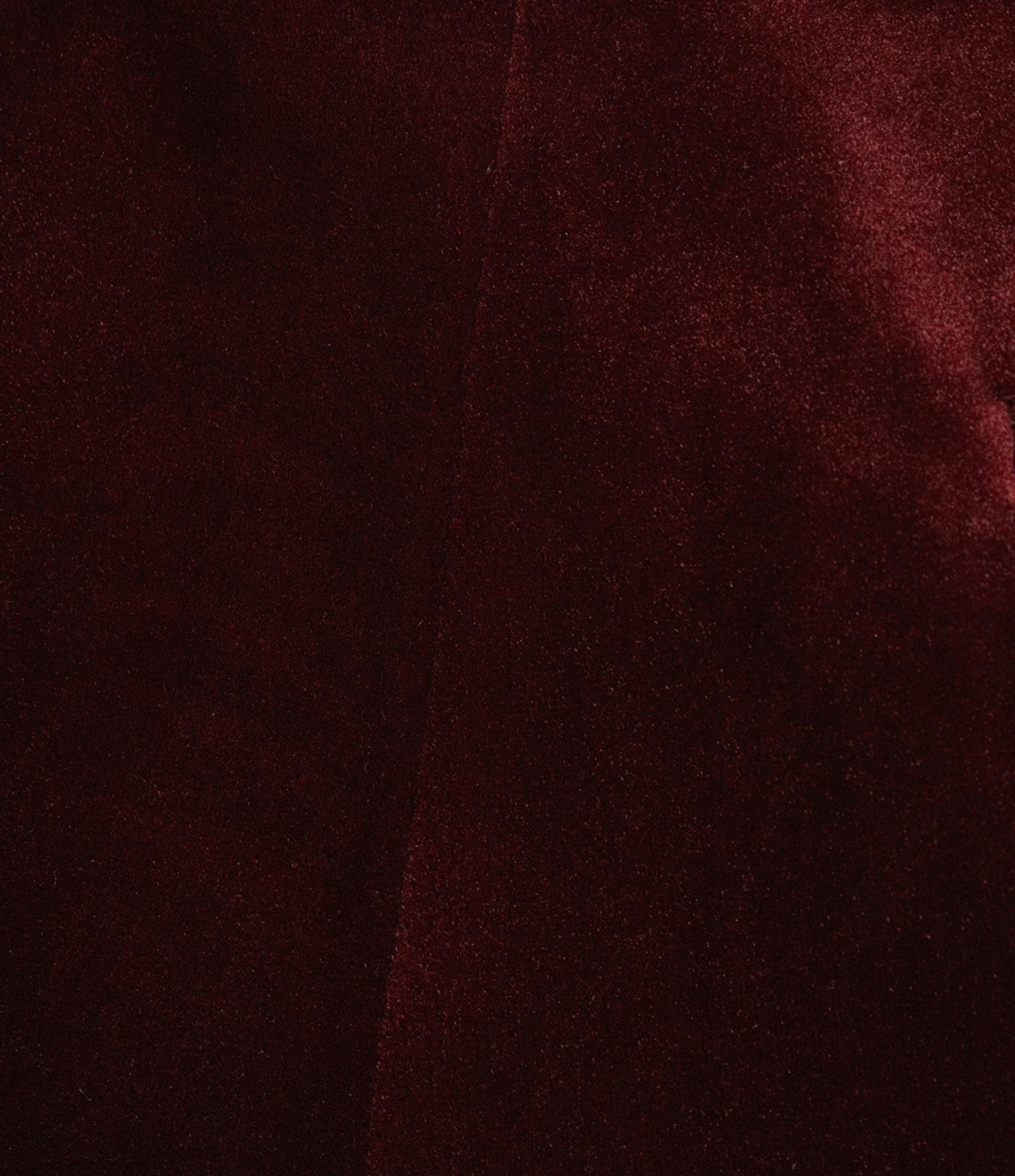 Donna Karan Classic Button Front Velvet Pants
