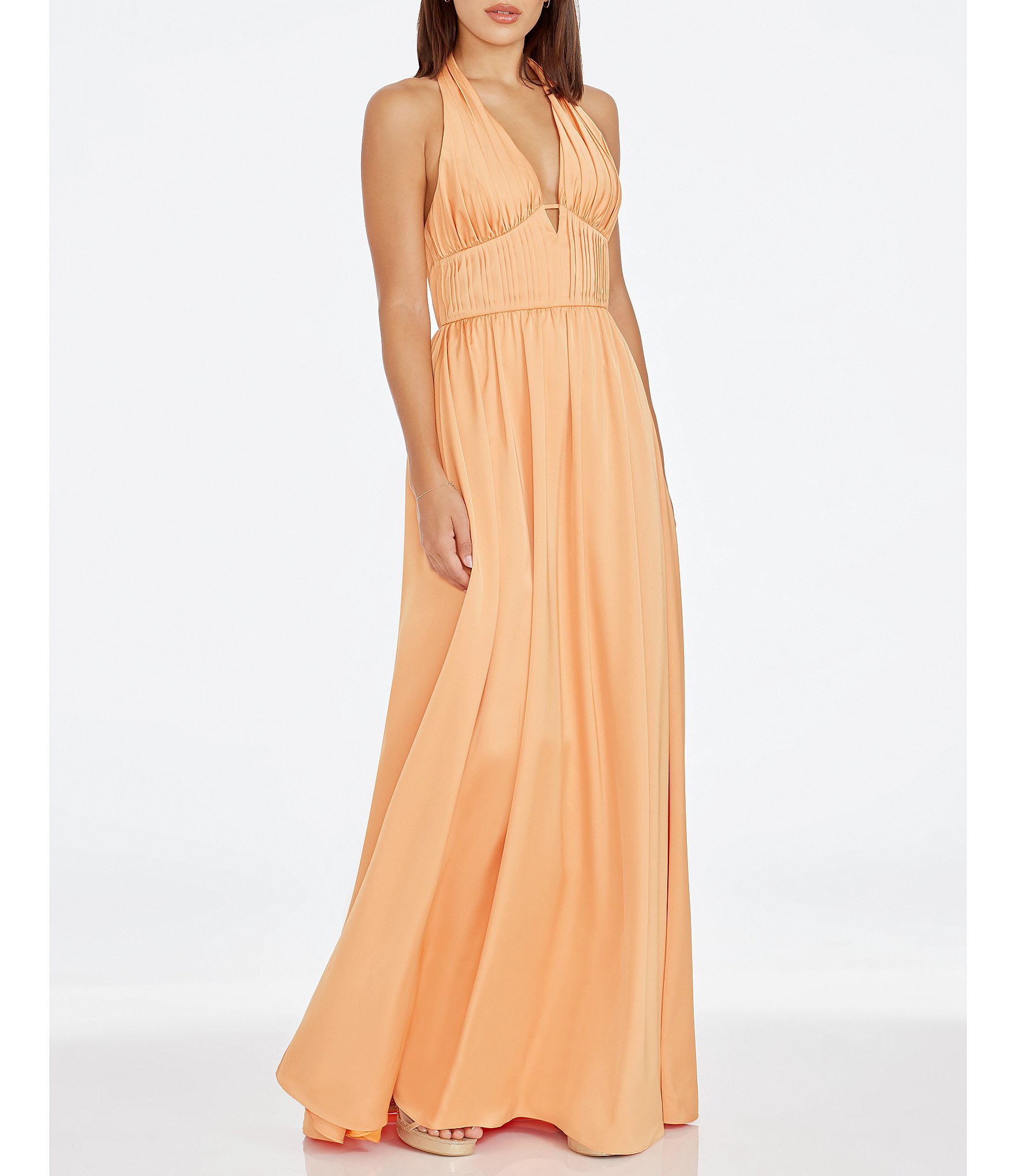 Dress the Population Rhea Plunge V-Neck Halter Sleeveless Pleated Gown ...