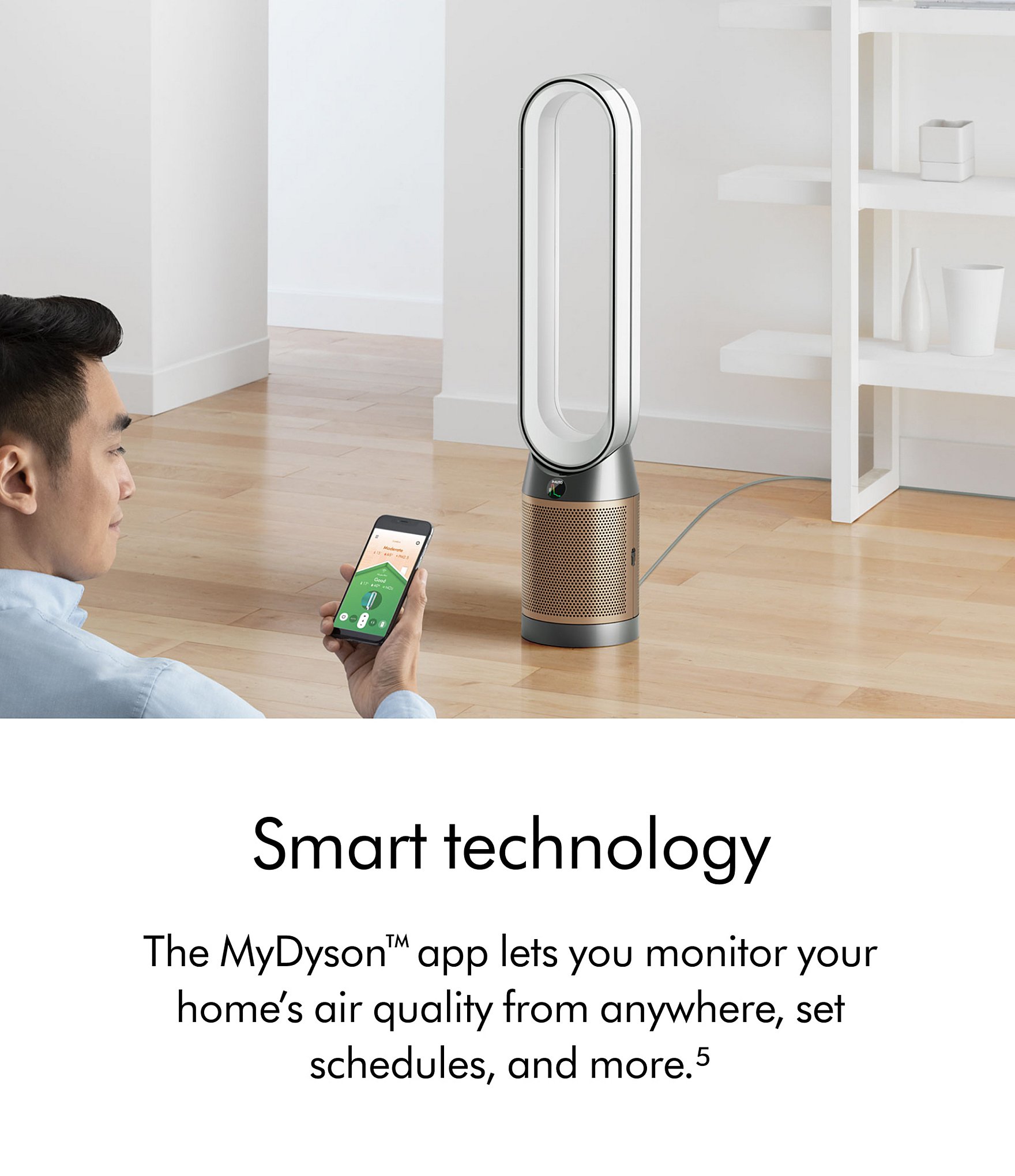 Dyson Purifier Cool PC2 De-NOx