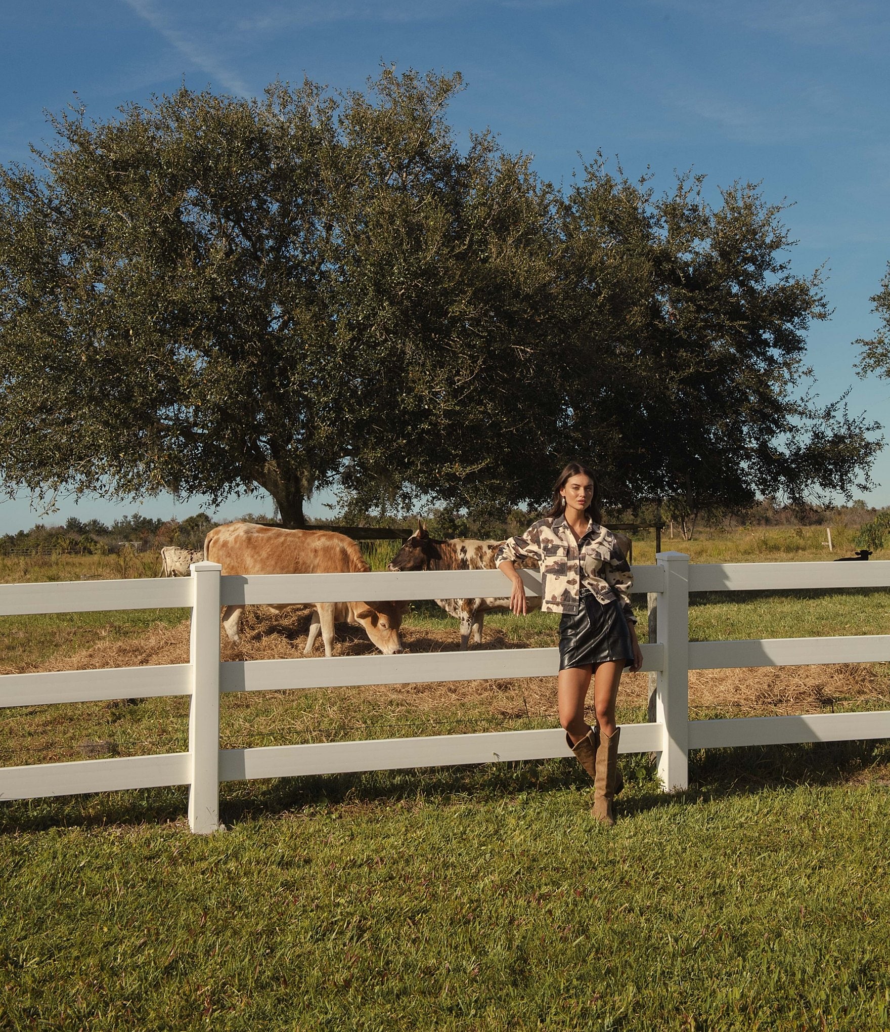 Elan Cow Print Collared Long Sleeve Jacket