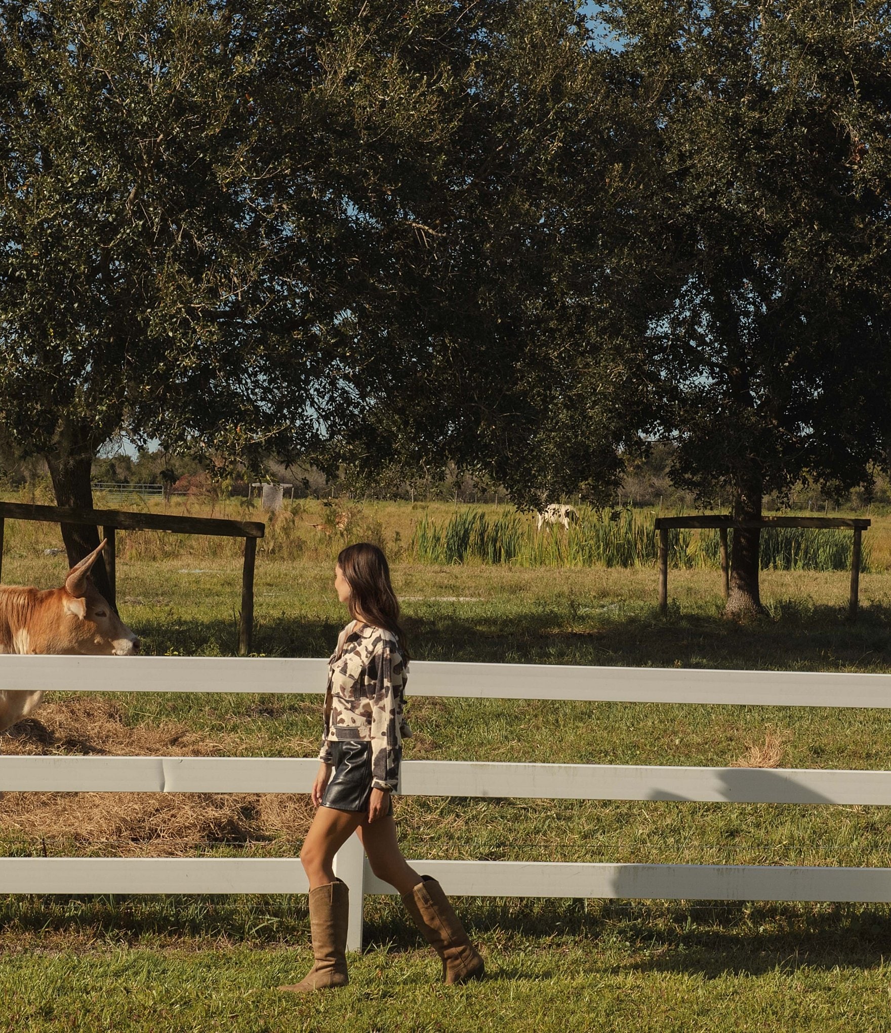 Elan Cow Print Collared Long Sleeve Jacket