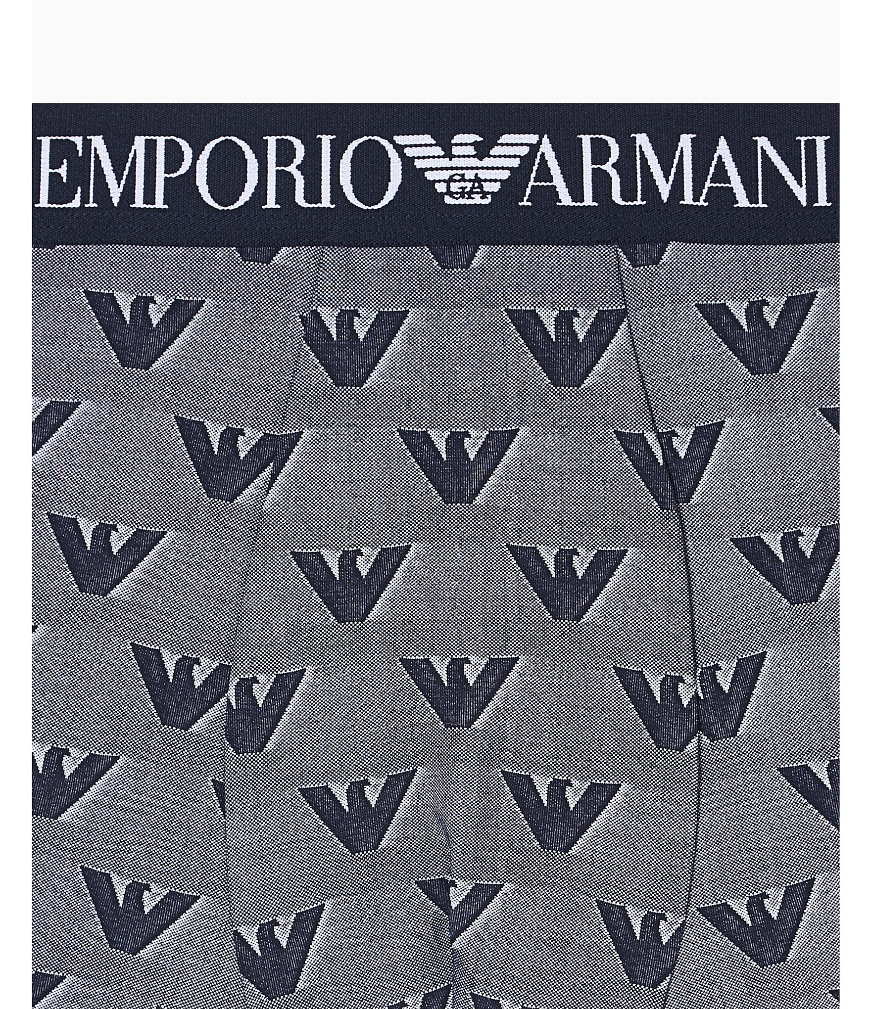 Emporio Armani Jacquard Microfiber Trunks