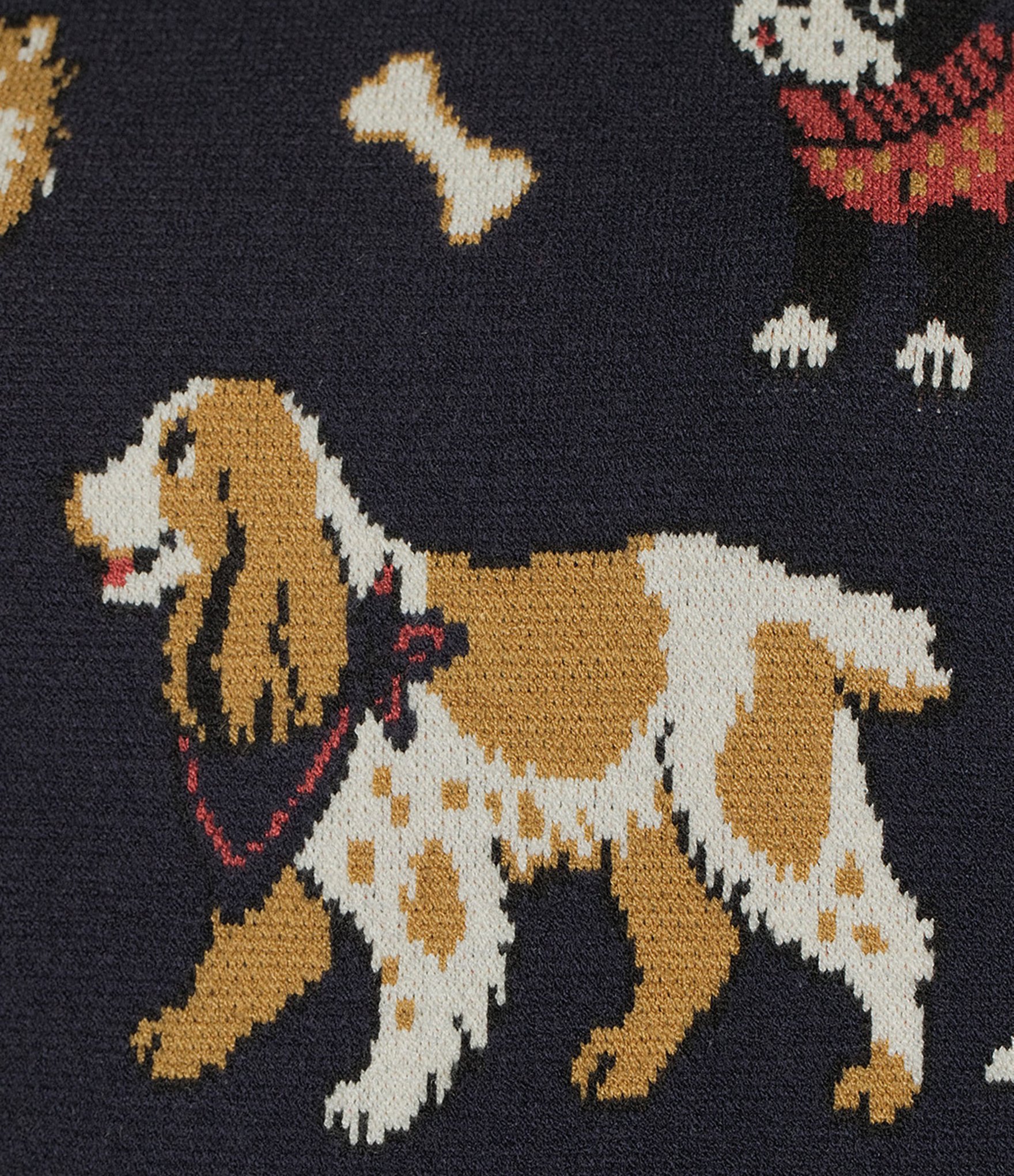 Evolutionary Dog Sweater