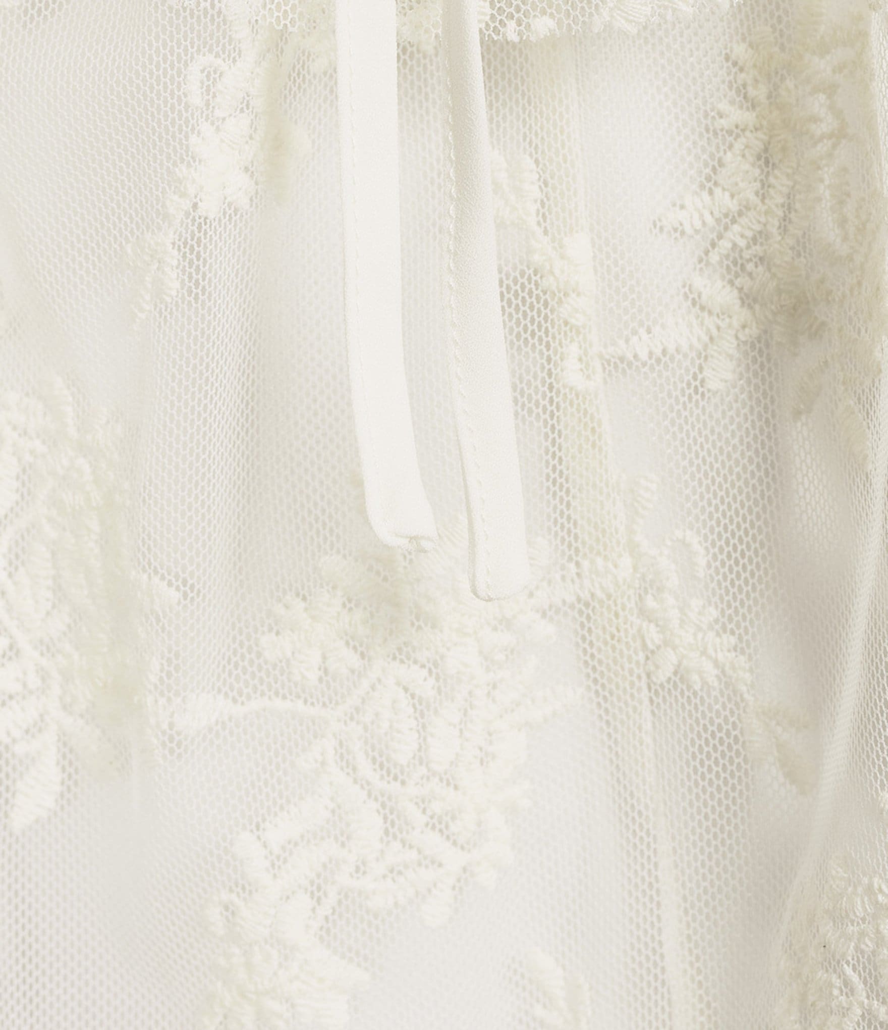 GB V-Neck Lace Embroidered Mesh Coordinating Blouse