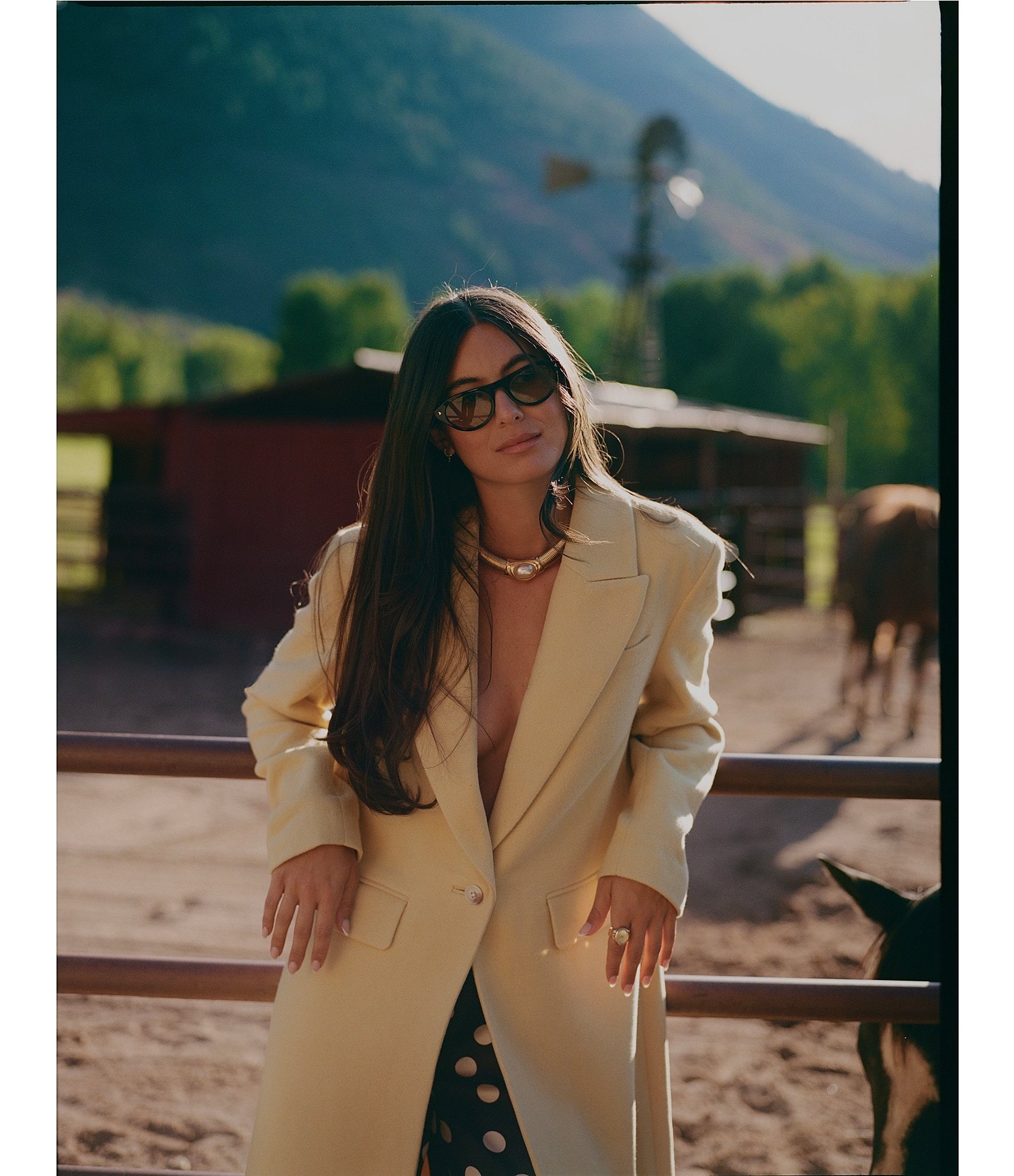 Gianni Bini x Sydney Silverman The Jenna Wool Blend Single Breasted Notch Collar Coat