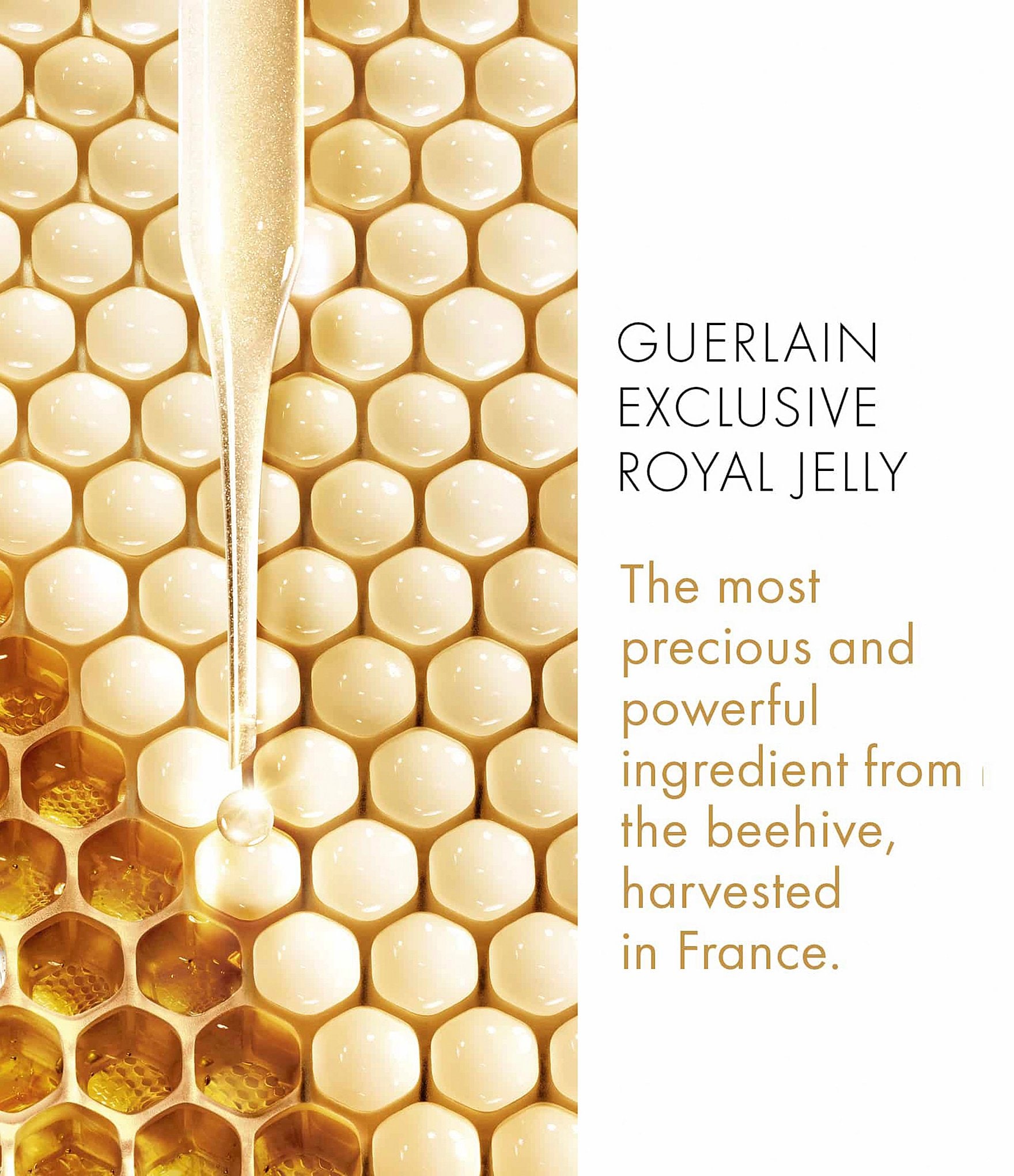 Guerlain Abeille Royale Anti-Aging Fortifying Lotion Toner