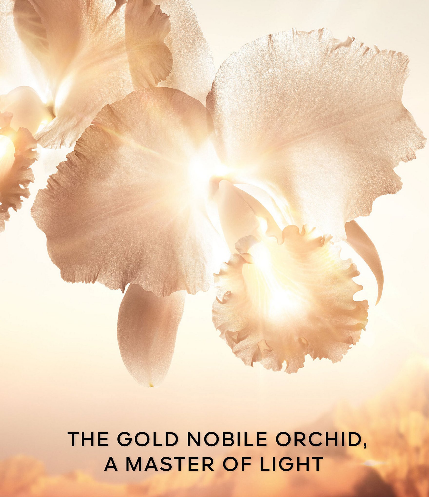 Guerlain Orchidee Imperiale Gold Nobile The Cream Refill