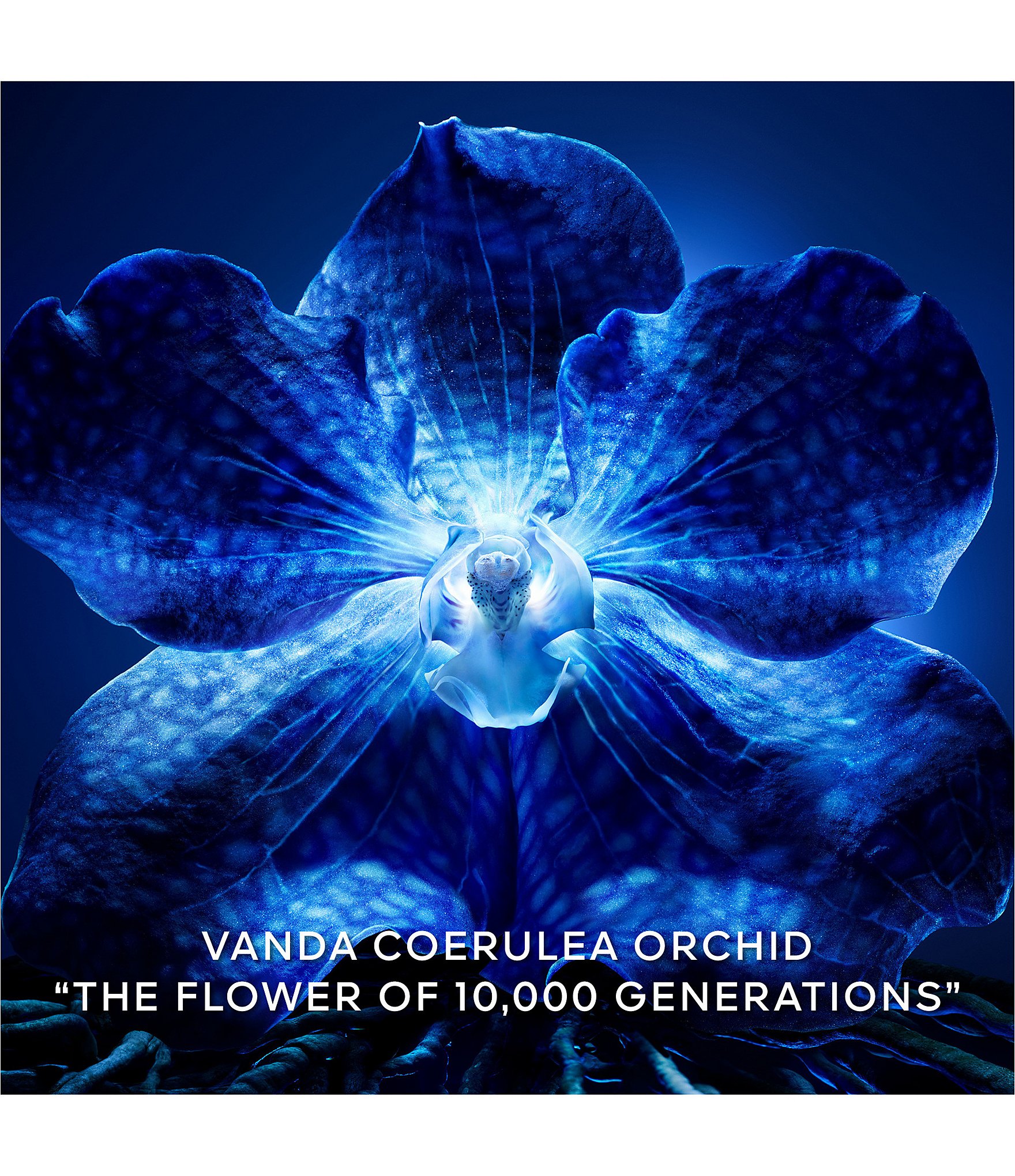 Guerlain Orchidee Imperiale The Longevity Concentrate Exceptional Age-defying Refillable Serum