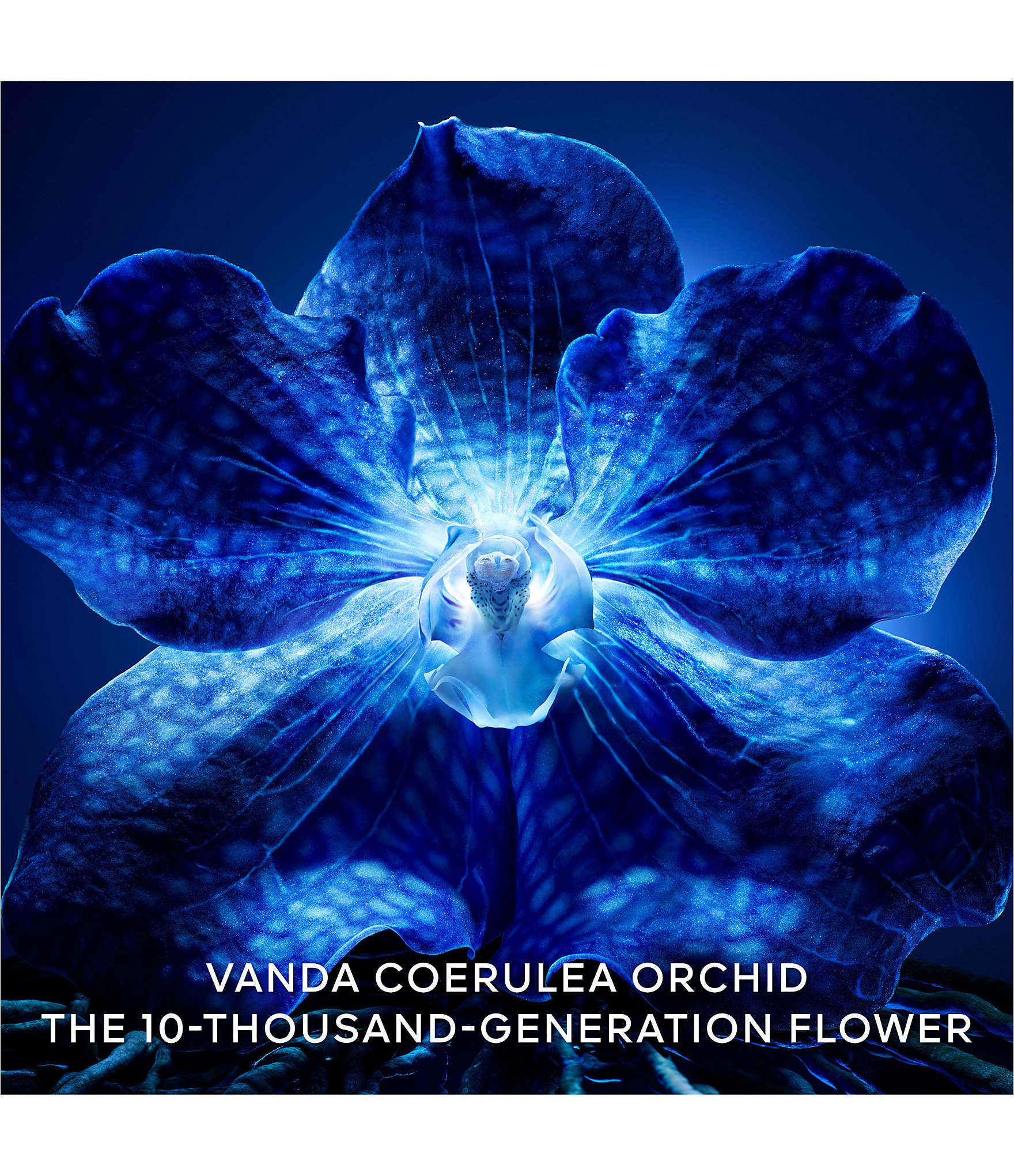 Guerlain Orchidee Imperiale The Longevity Refillable Cream
