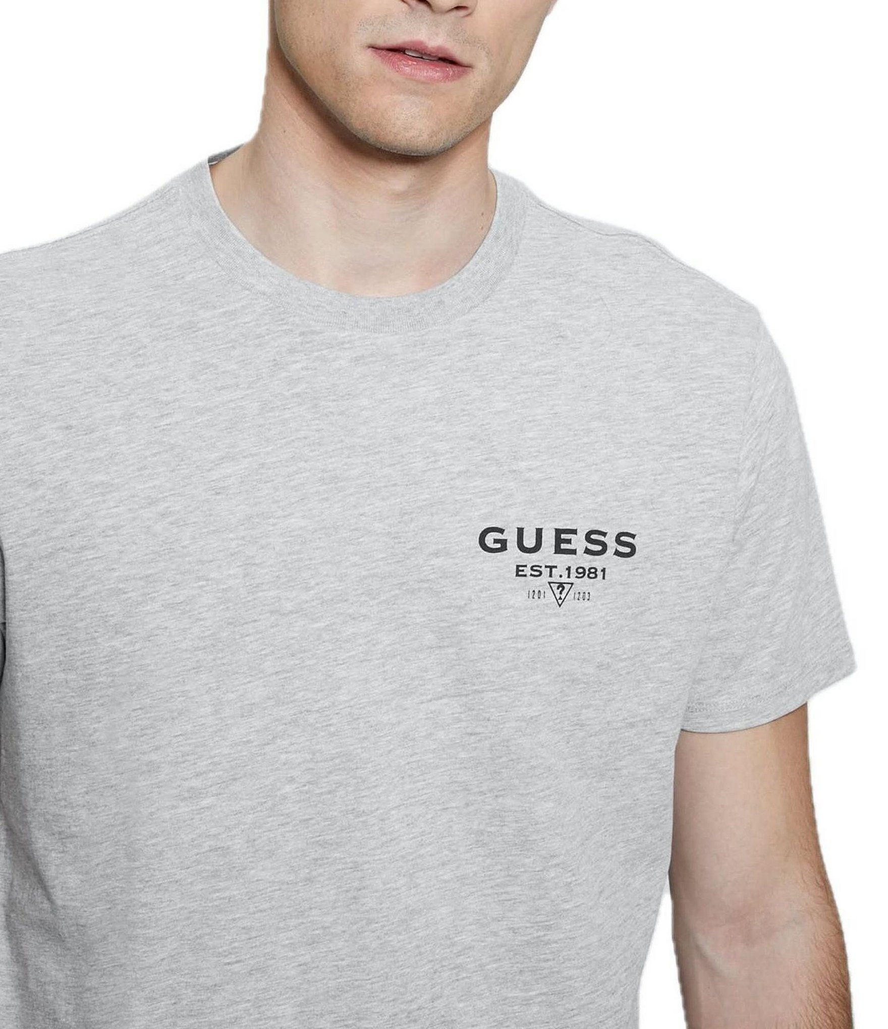 Guess Basic Classic Logo Short Sleeve T-Shirt