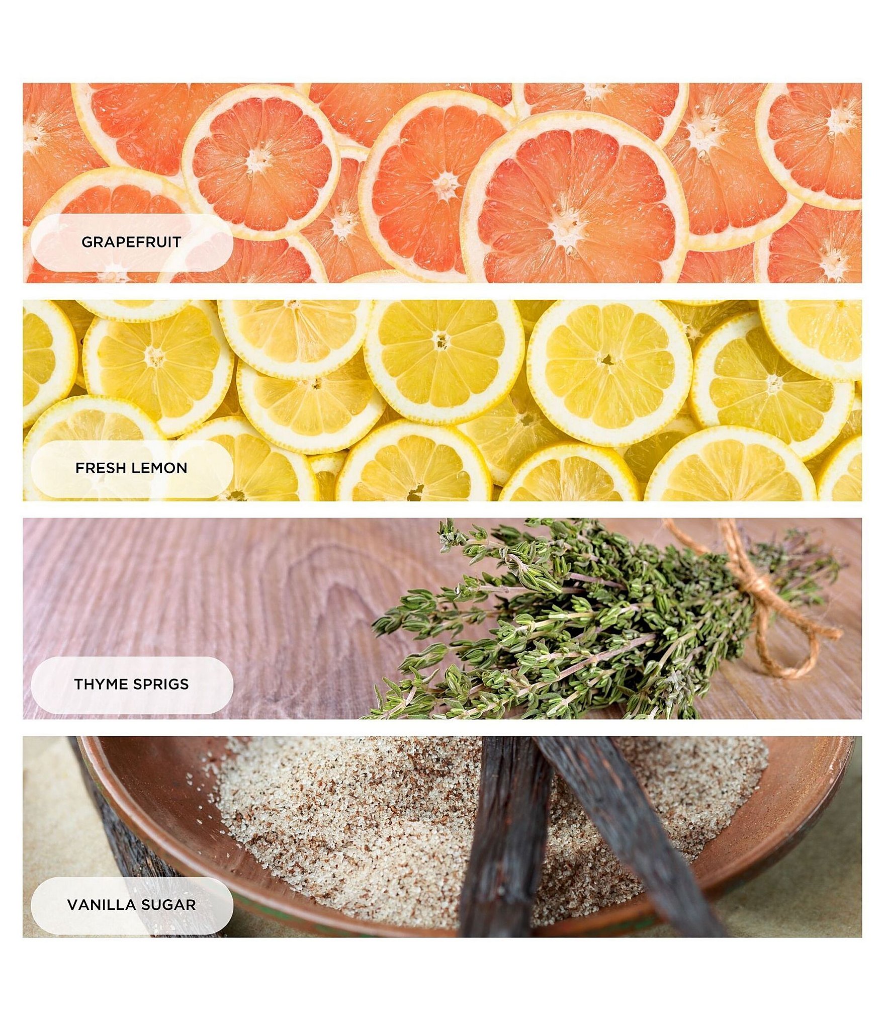 HomeWorx by Slatkin + Co. Sparkling Grapefruit Candle