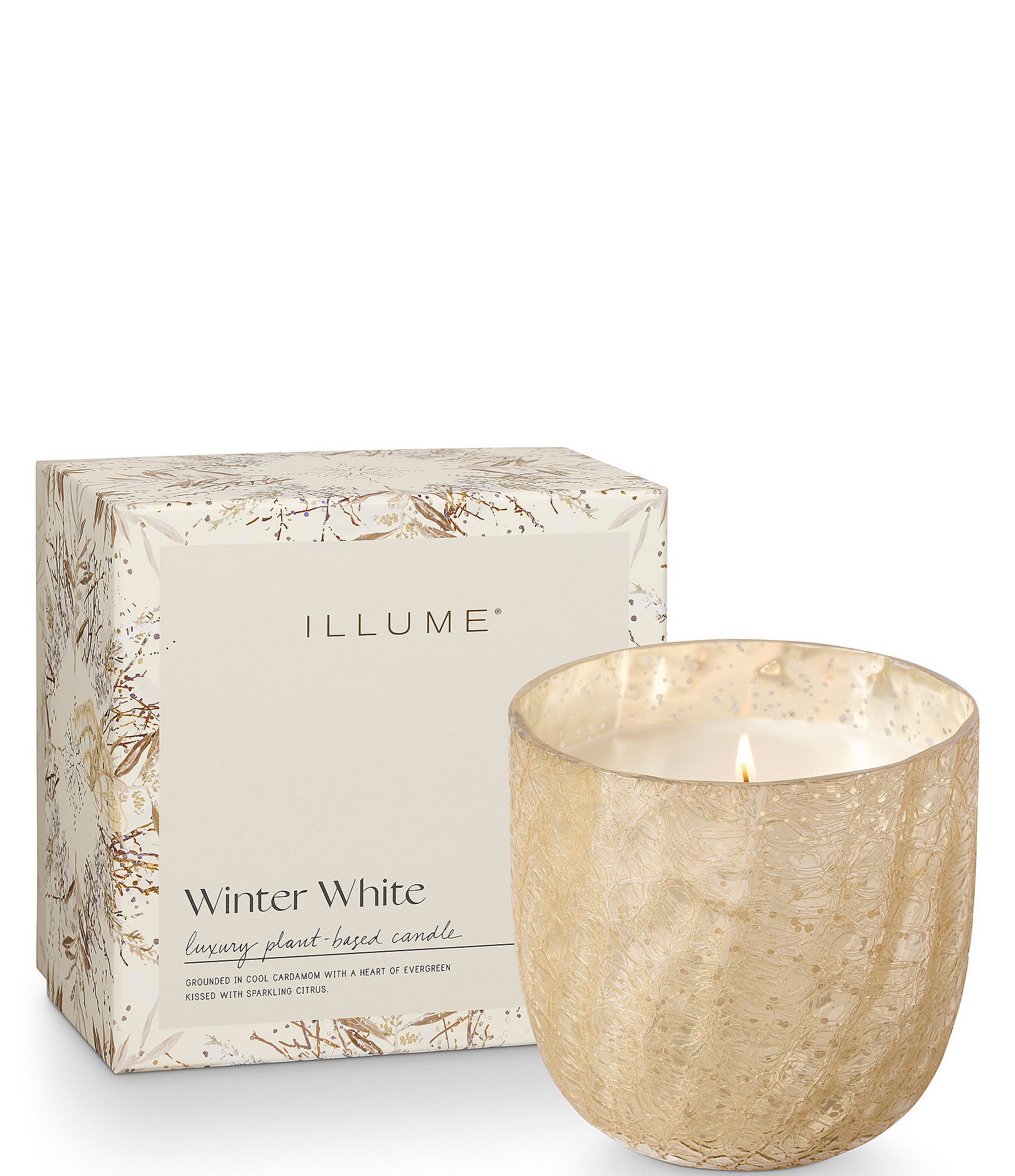 Illume 2025 evergreen candle