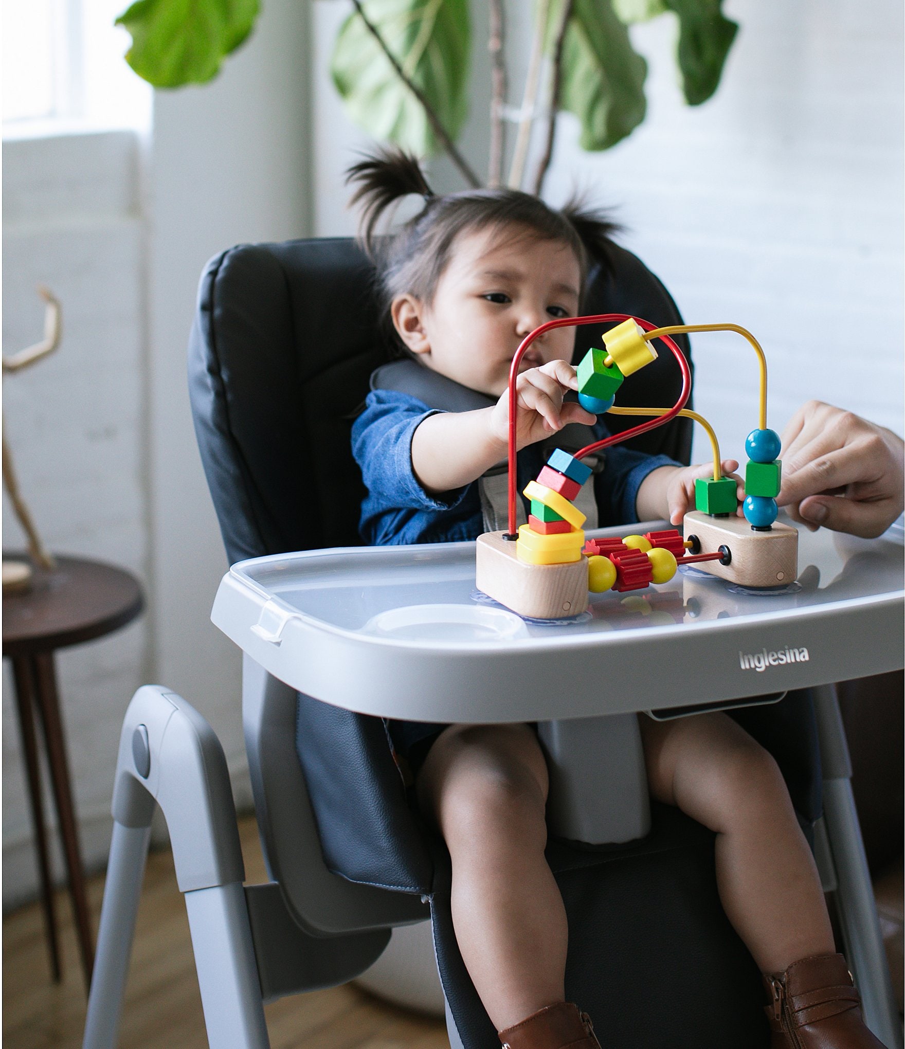 Inglesina My time Highchair