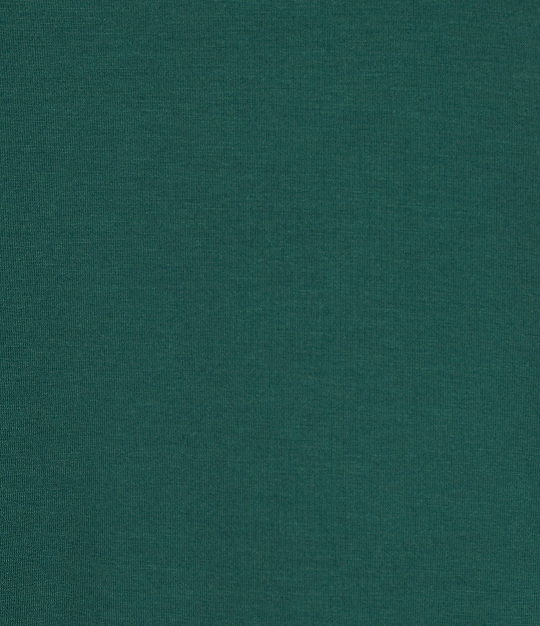 Investments Petite Turtleneck Pullover Long Sleeves Top