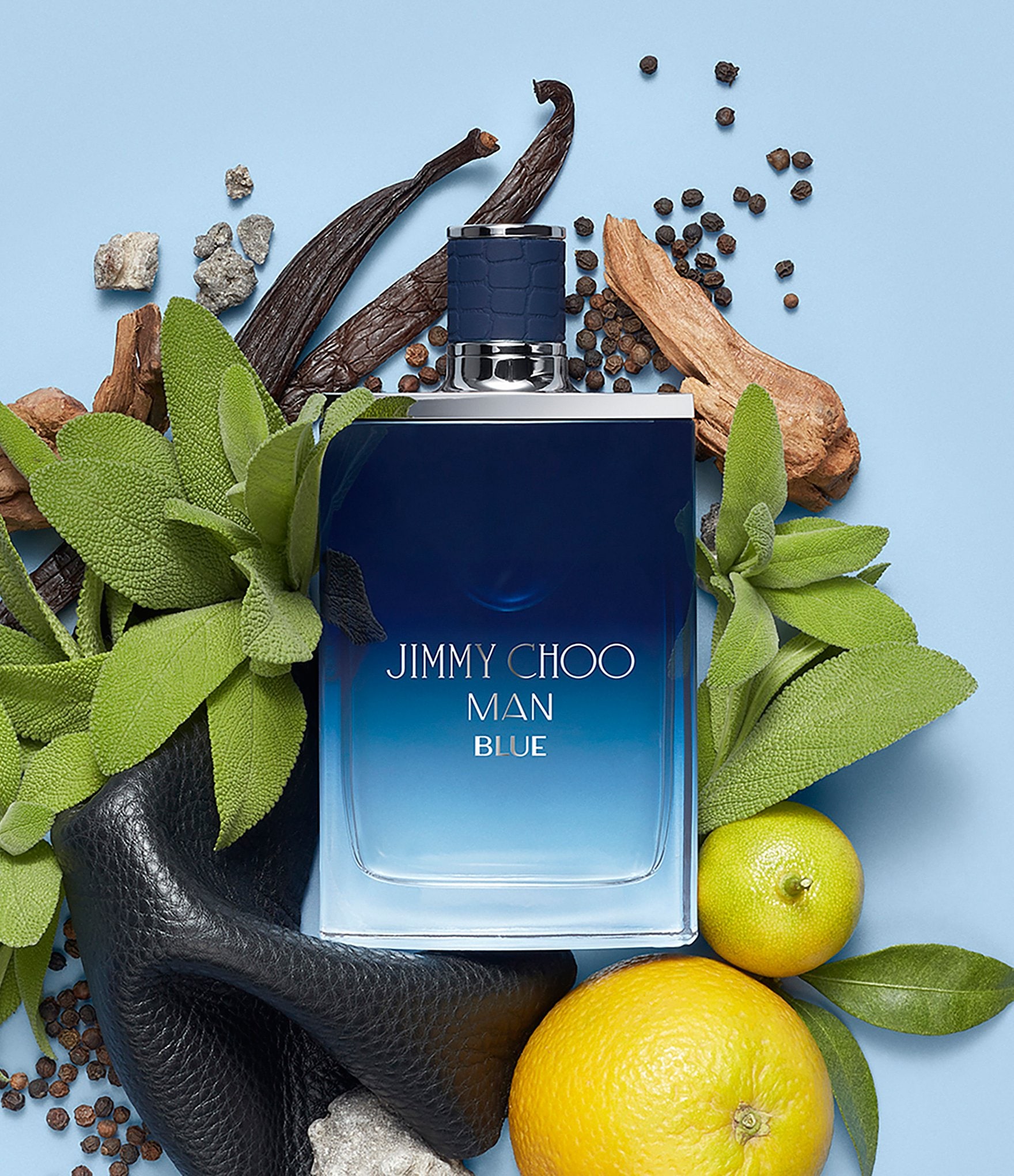 Jimmy Choo Man Blue Eau de Toilette Spray