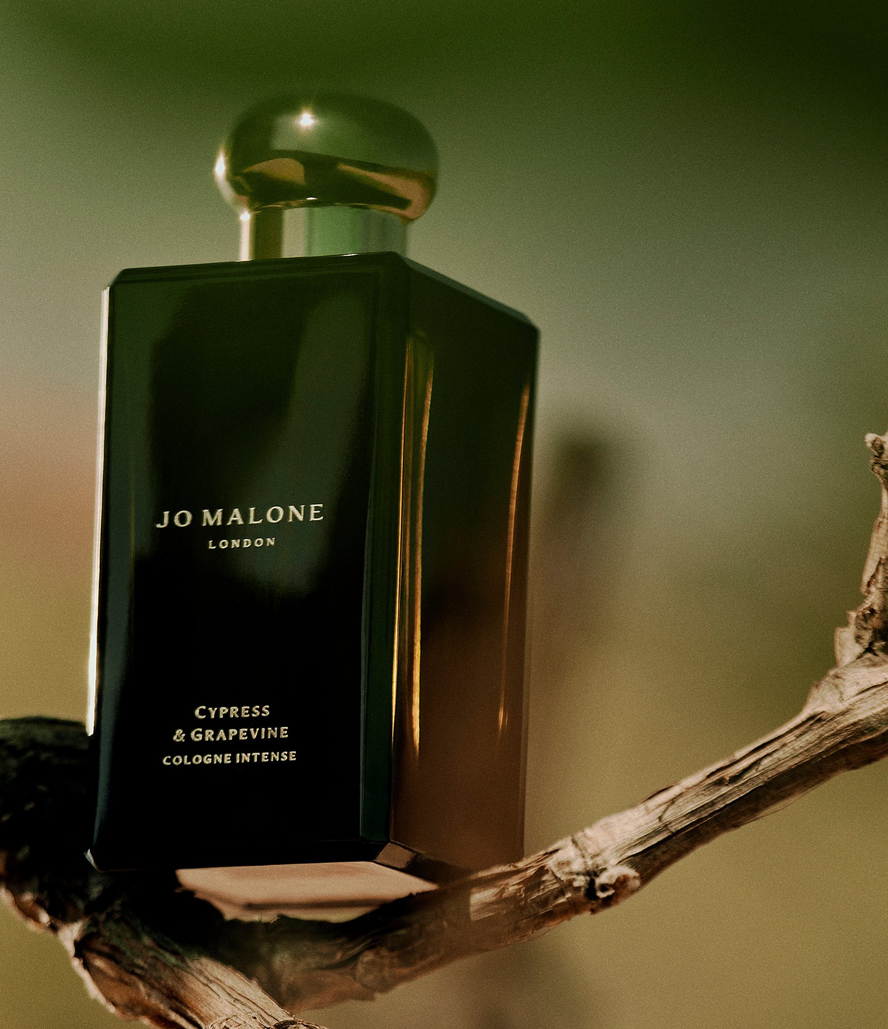 Jo Malone London Cypress & Grapevine Cologne Intense, 3.4-oz.