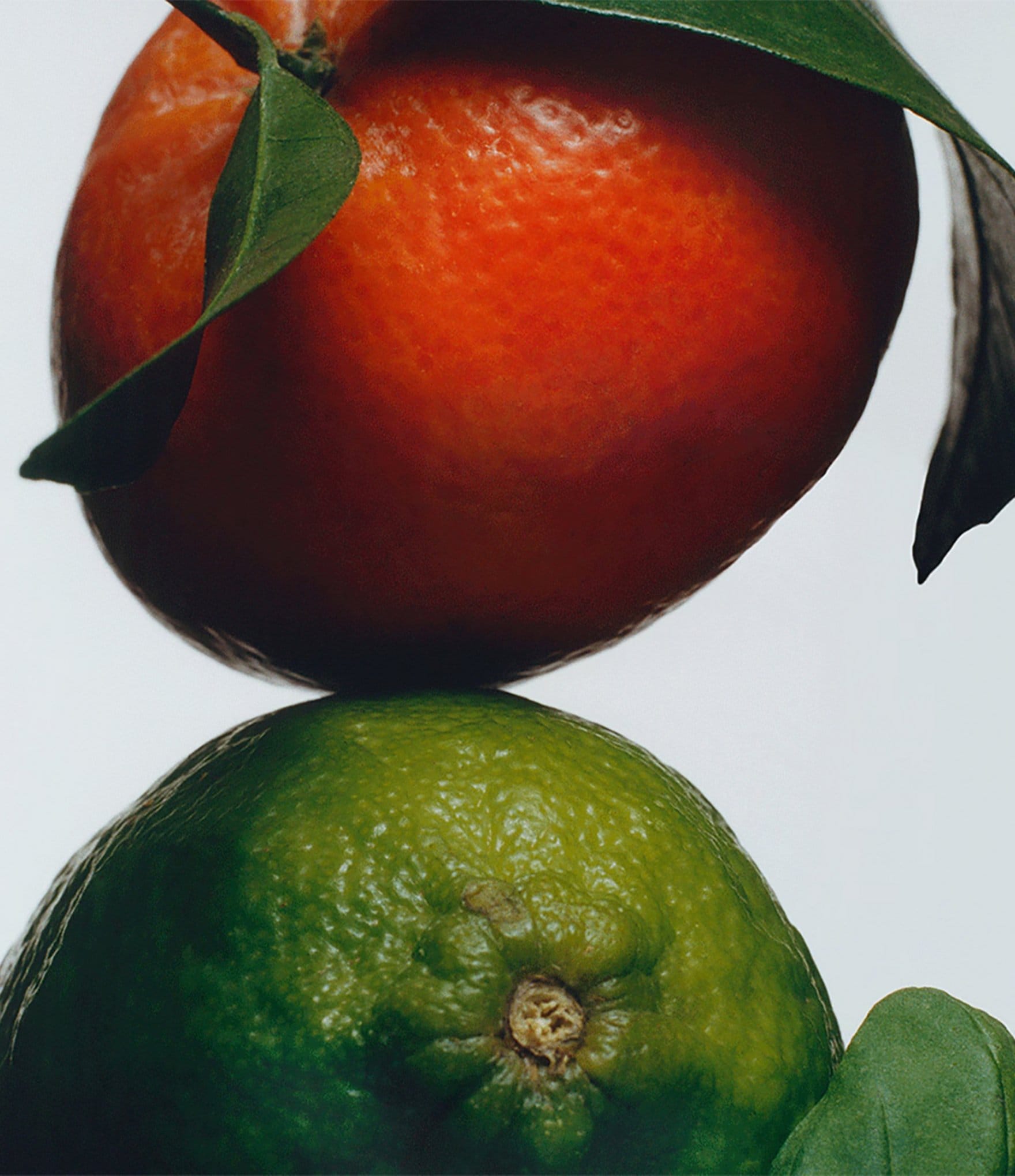 Jo Malone London Lime Basil & Mandarin Cologne, 1.7-oz.