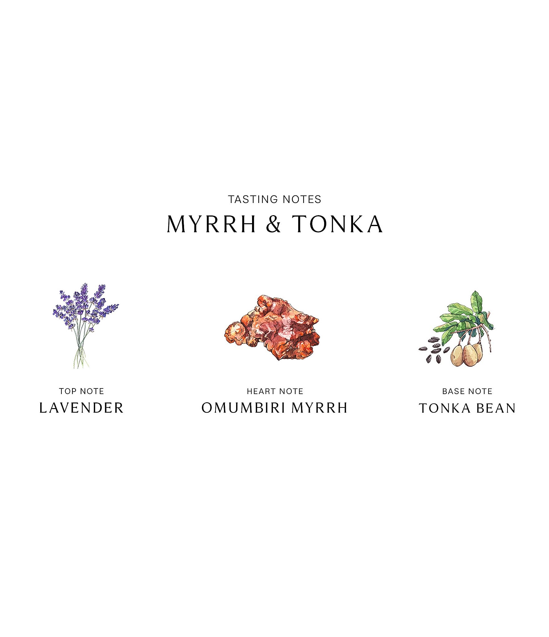 Jo Malone London Myrrh & Tonka Body Creme, 6.7-oz.