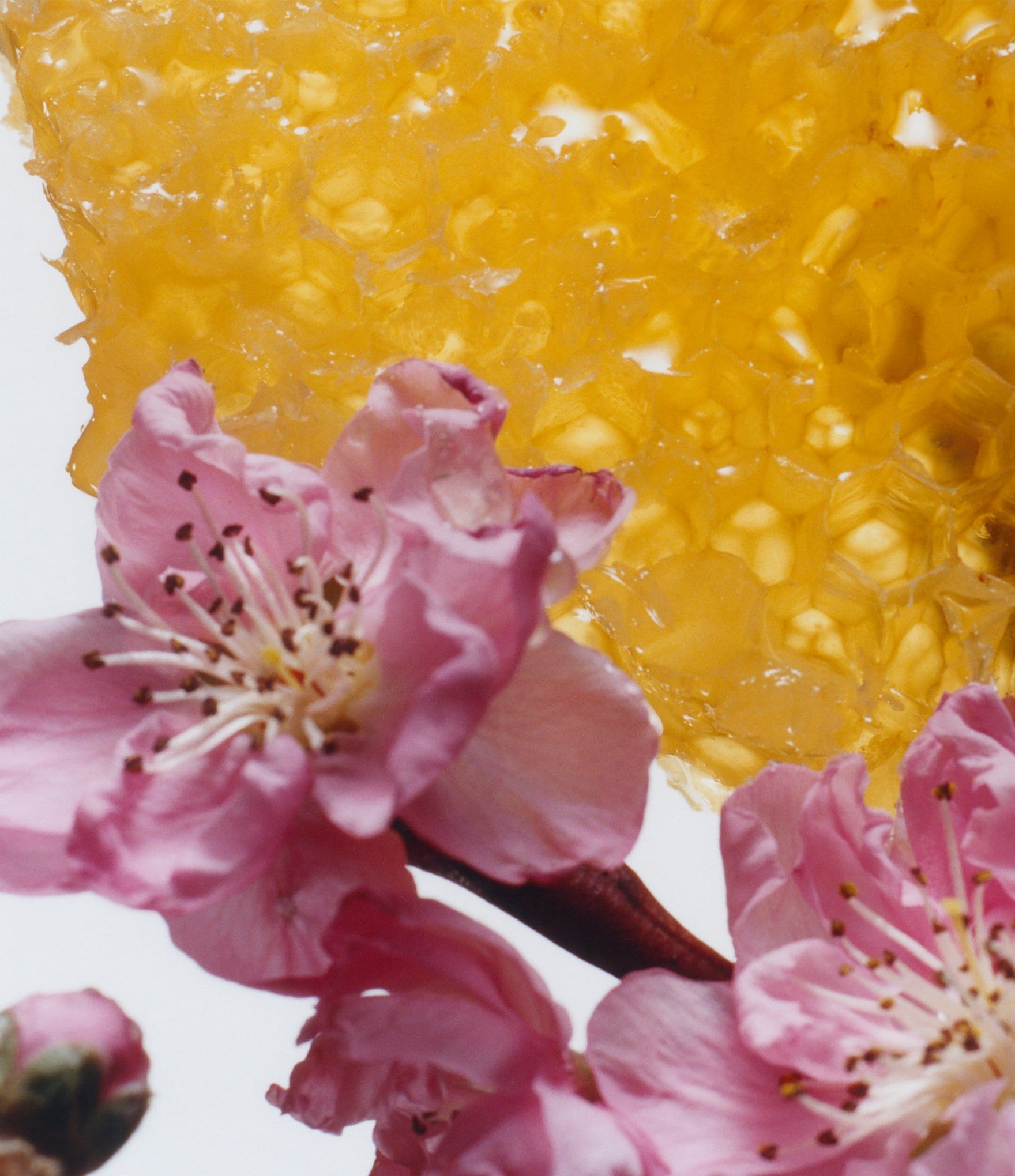 Jo Malone London Nectarine Blossom & Honey Home Candle, 7-oz.