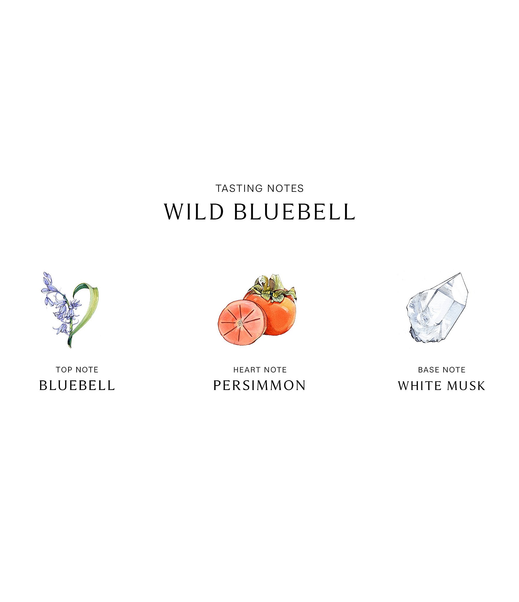 Jo Malone London Wild Bluebell Body Mist, 3.4-oz.