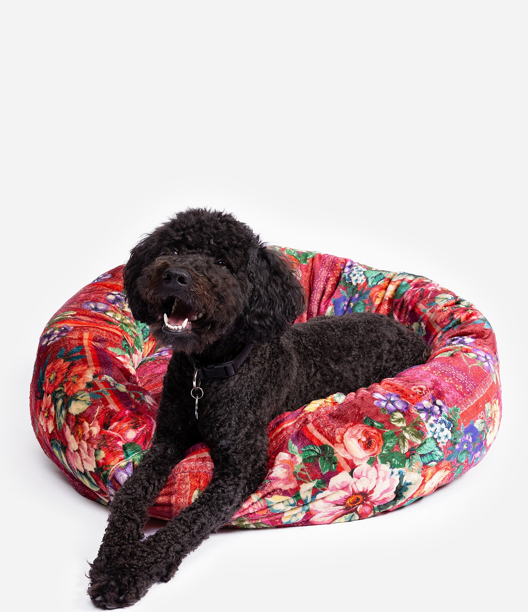 Floral best sale dog bed