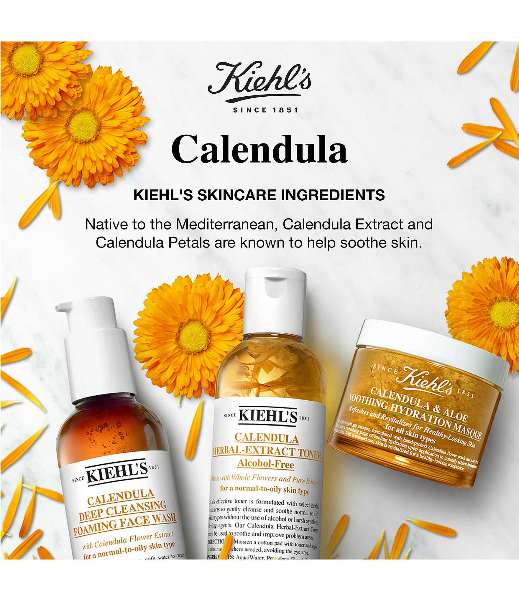 Kiehl's Since 1851 Calendula Deep Cleansing Foaming Face Wash