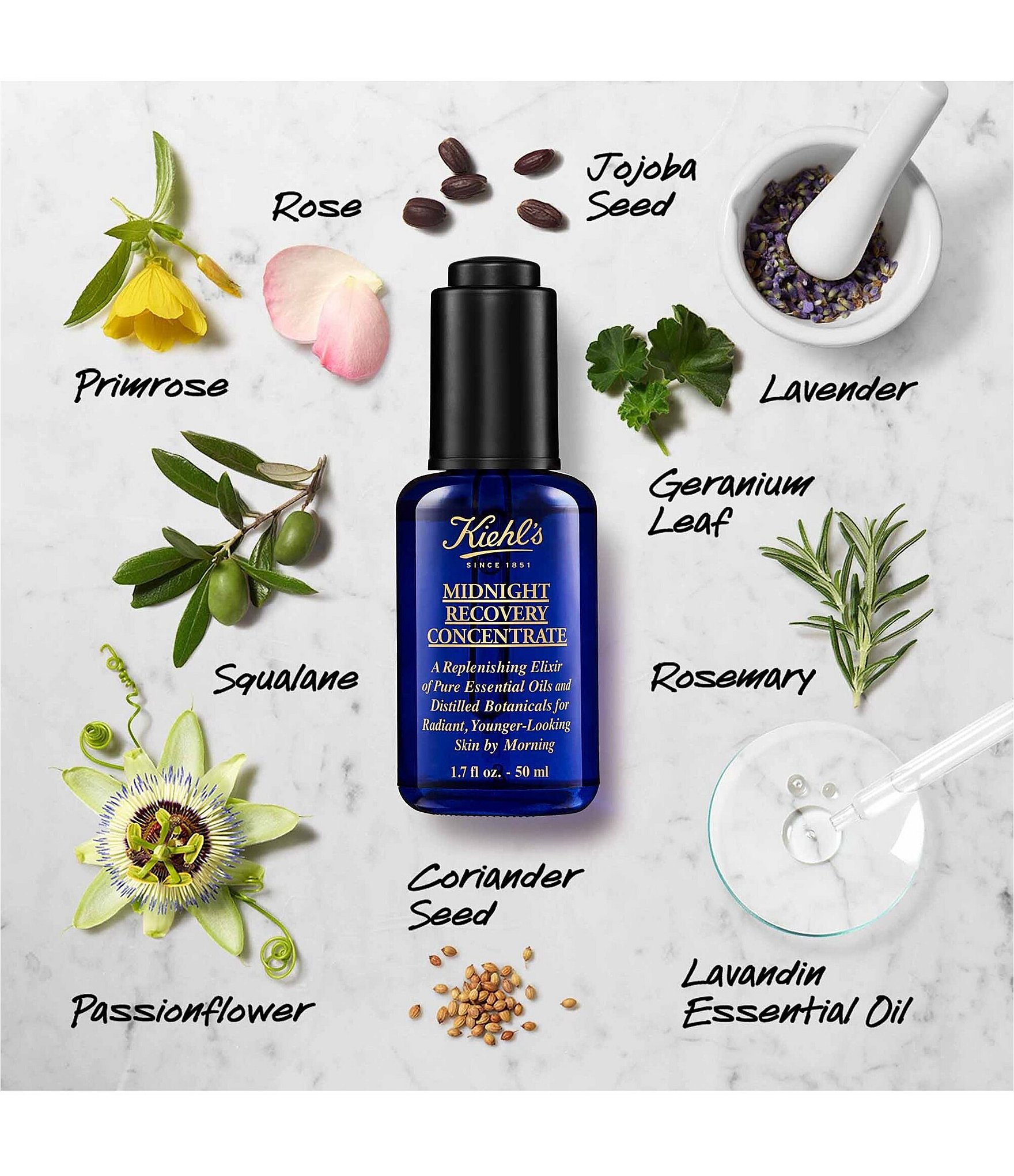 Kiehl's Since 1851 Midnight Recovery Concentrate