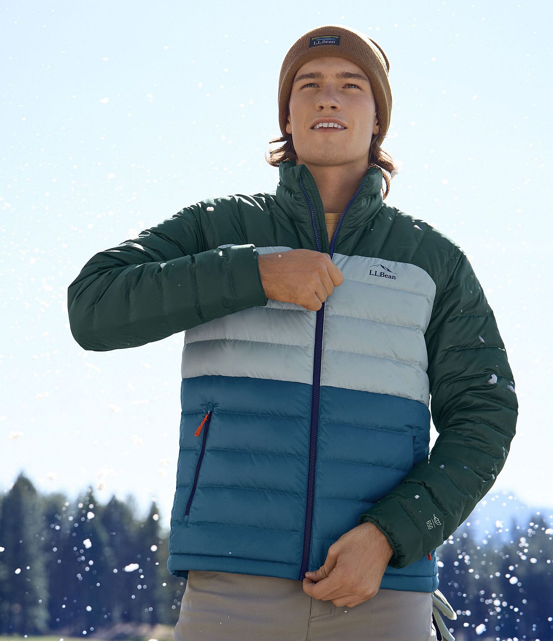Ll bean 650 down jacket discount