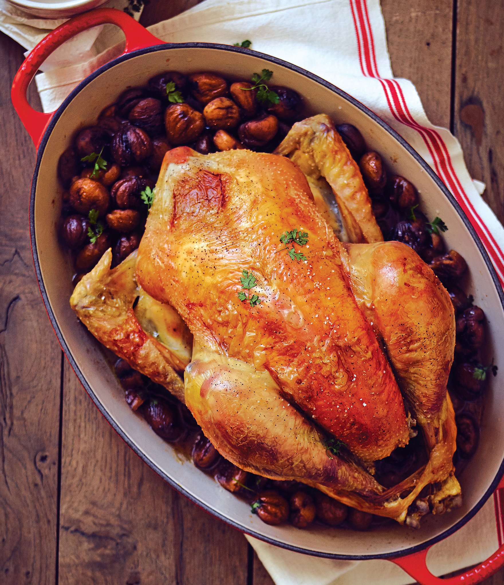 Le Creuset 5-Quart Signature Oval Dutch Oven with Stainless Steel Knob