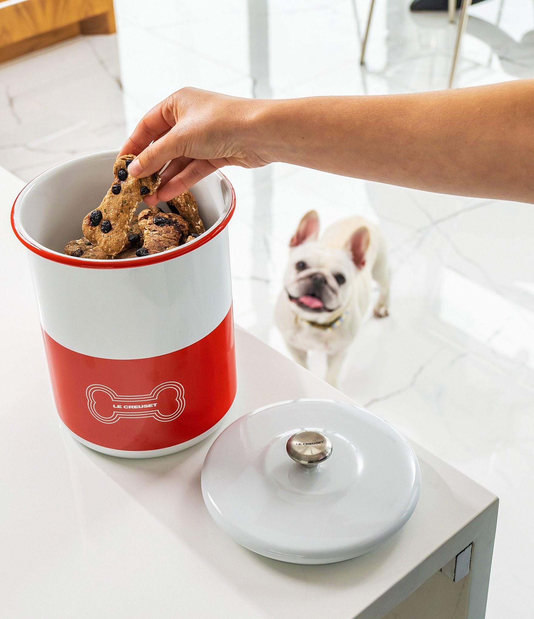 Le Creuset Pet Collection Treat Jar with Stainless Steel Knob