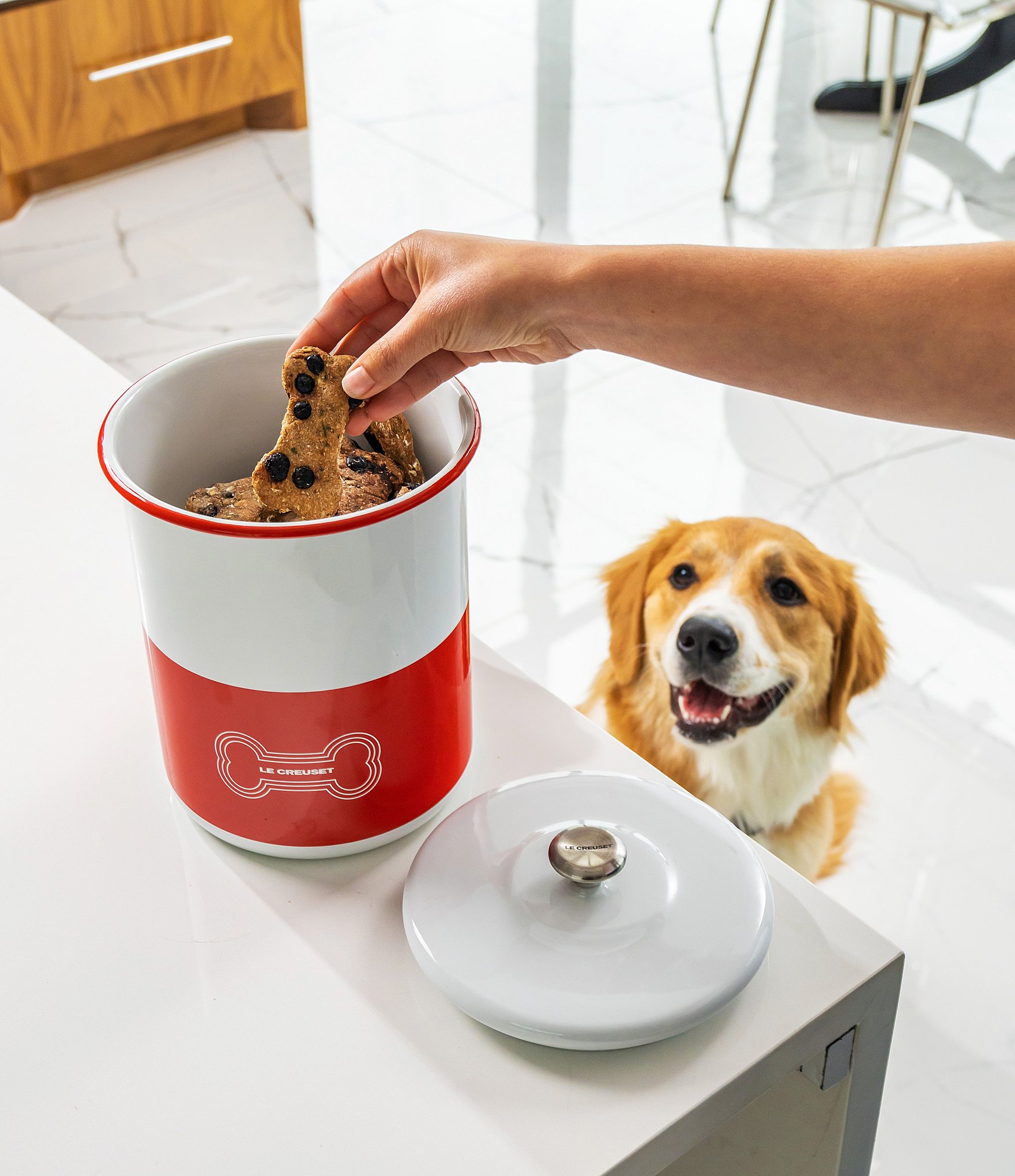 Le Creuset Pet Collection Treat Jar with Stainless Steel Knob