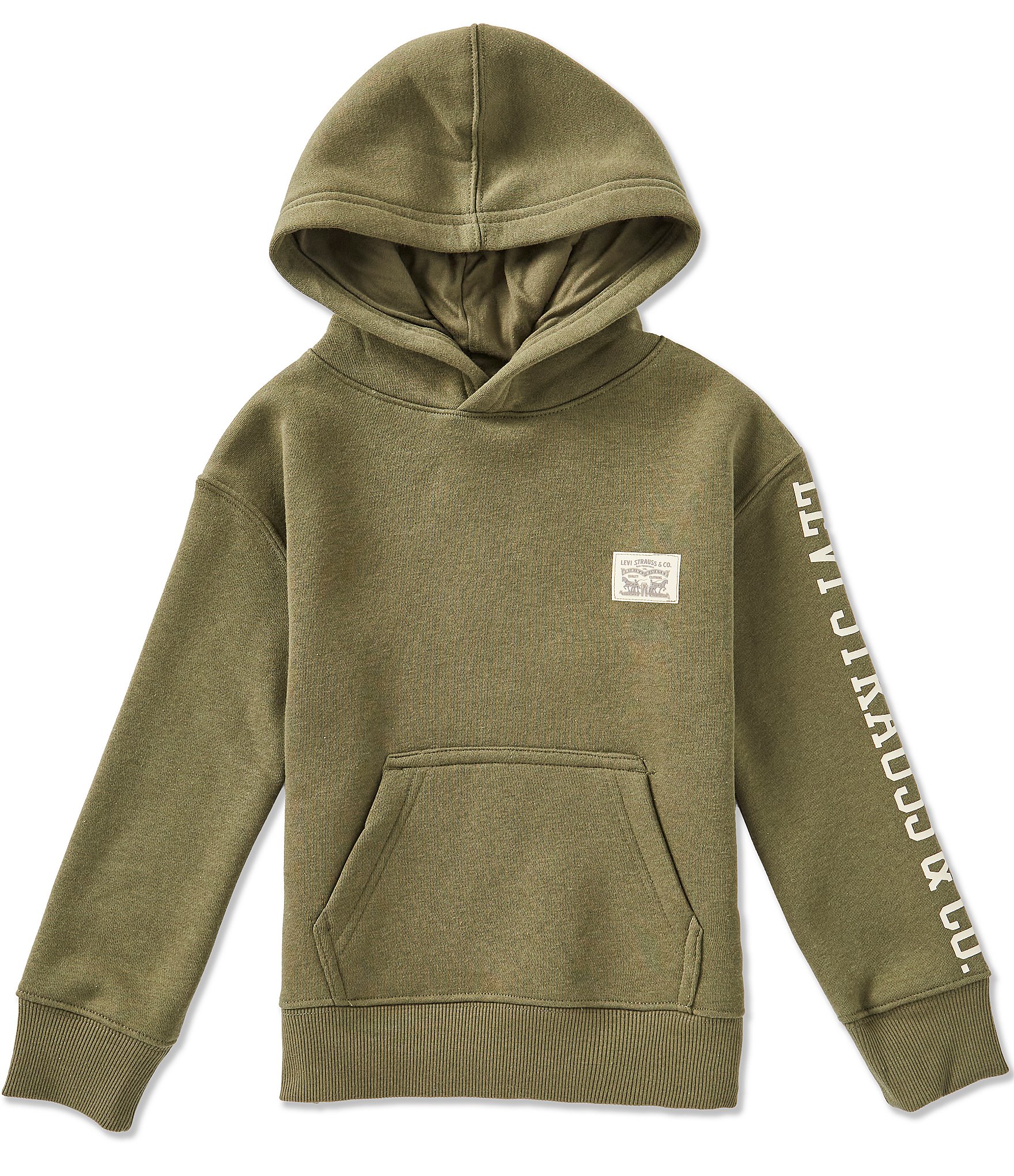 Levi's® Little Boys Long Sleeve Hit Pullover Hoodie