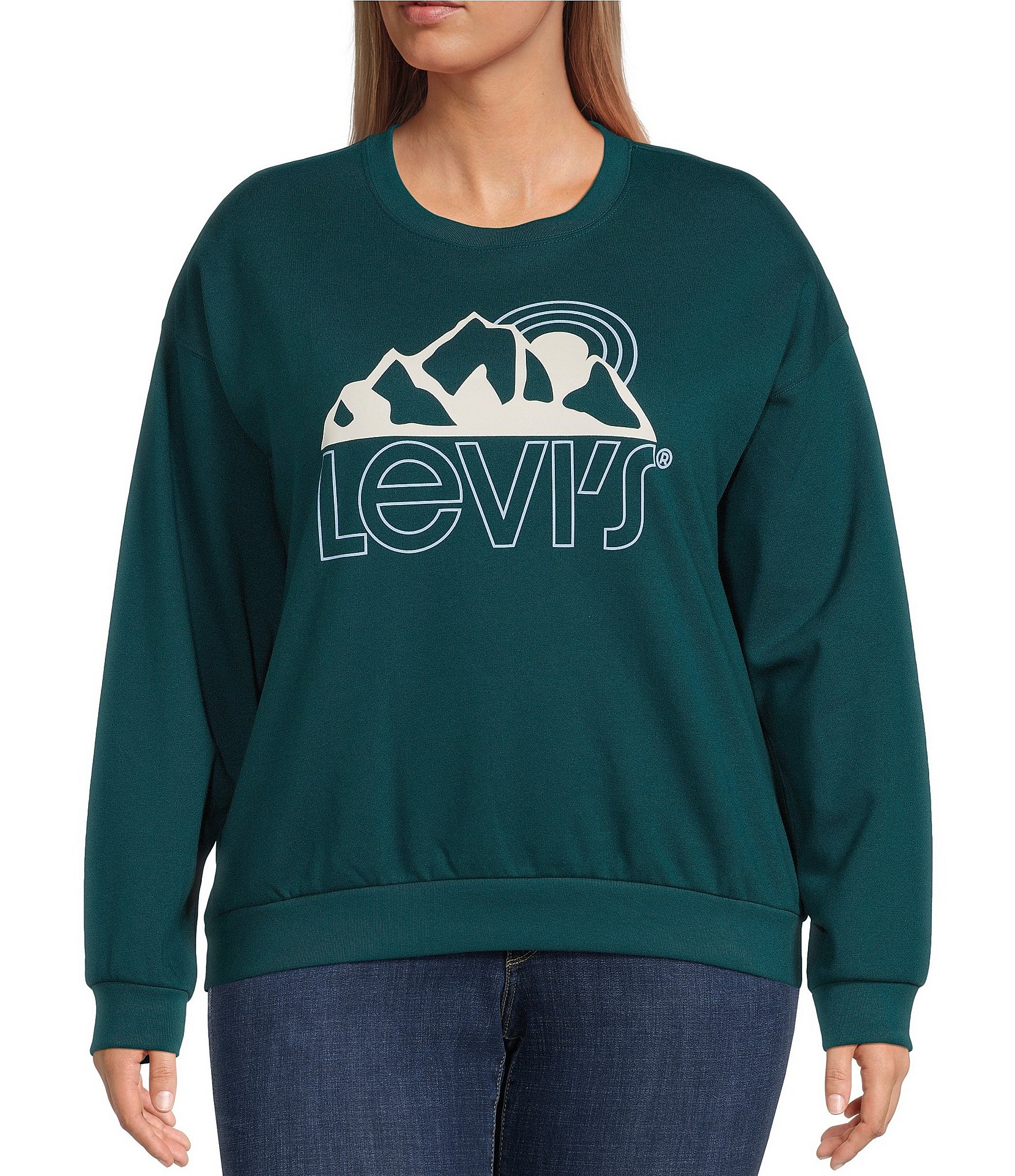 Levi's Plus Size Graphic Salinas Crew Neck Sweatshirt | Dillard's