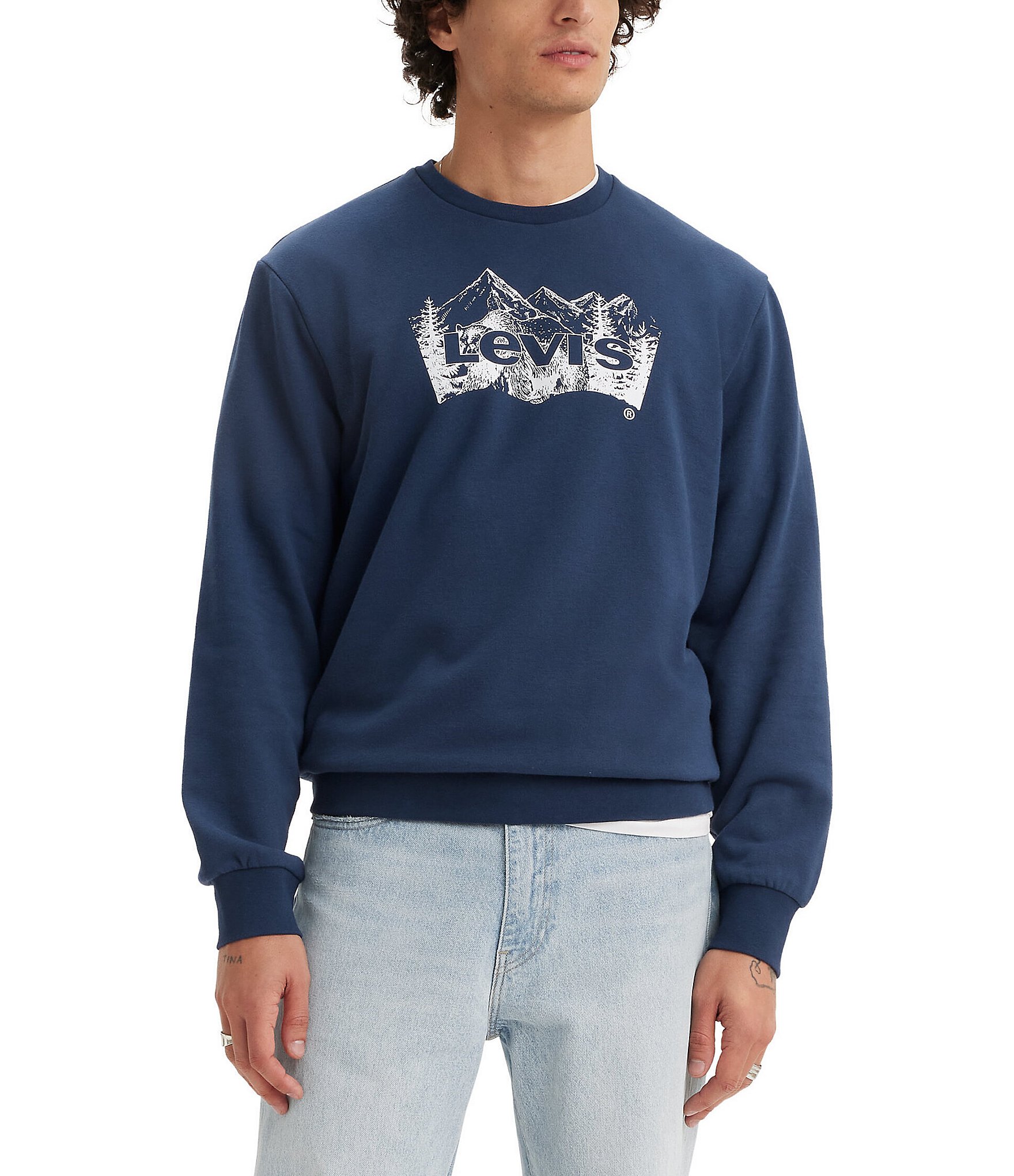 Levi's® Scenic Mountain Fleece Graphic Sweatshirt | Dillard's