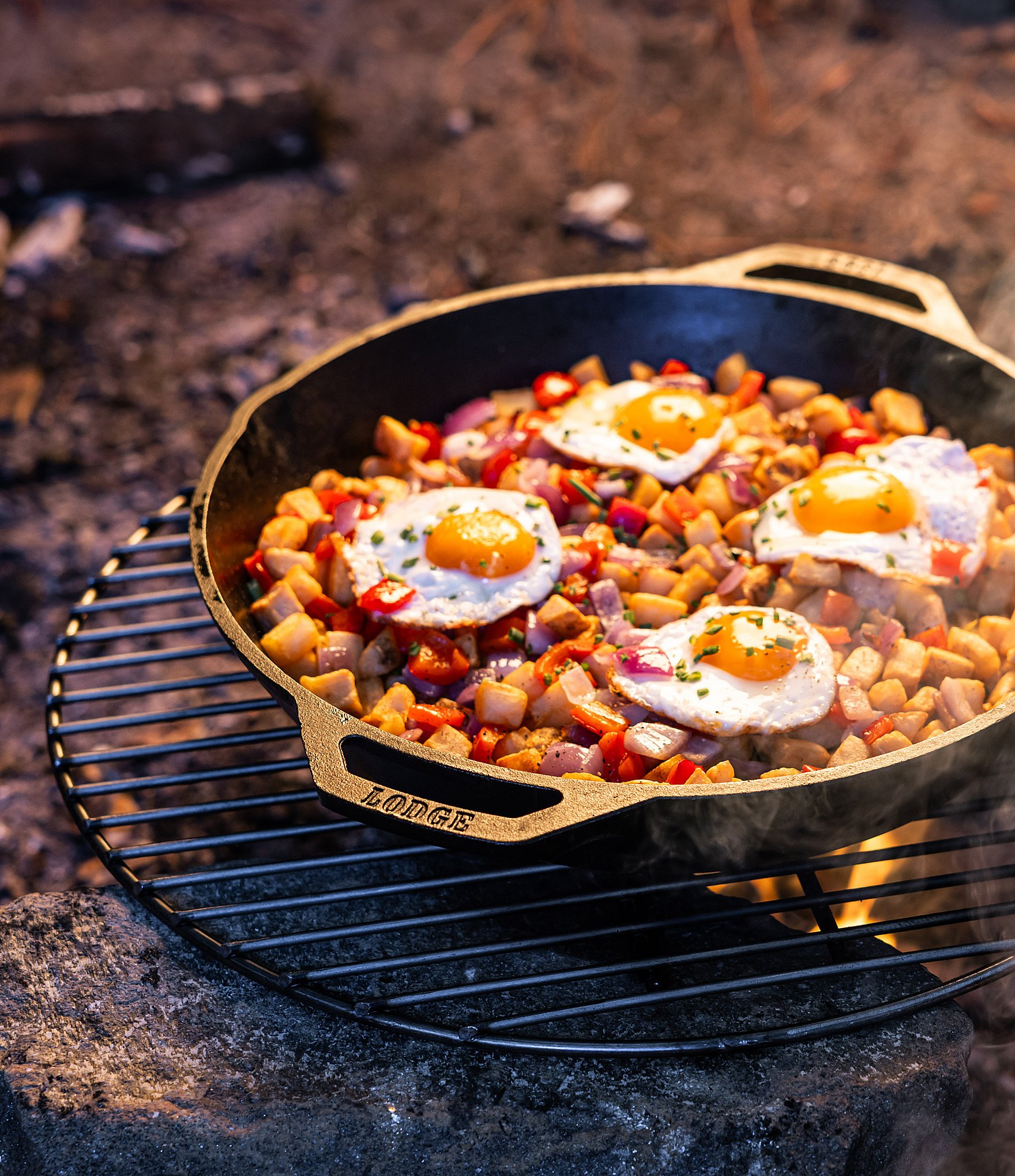 Lodge Cast Iron 17 #double; Seasoned Cast Iron Dual Handle Pan