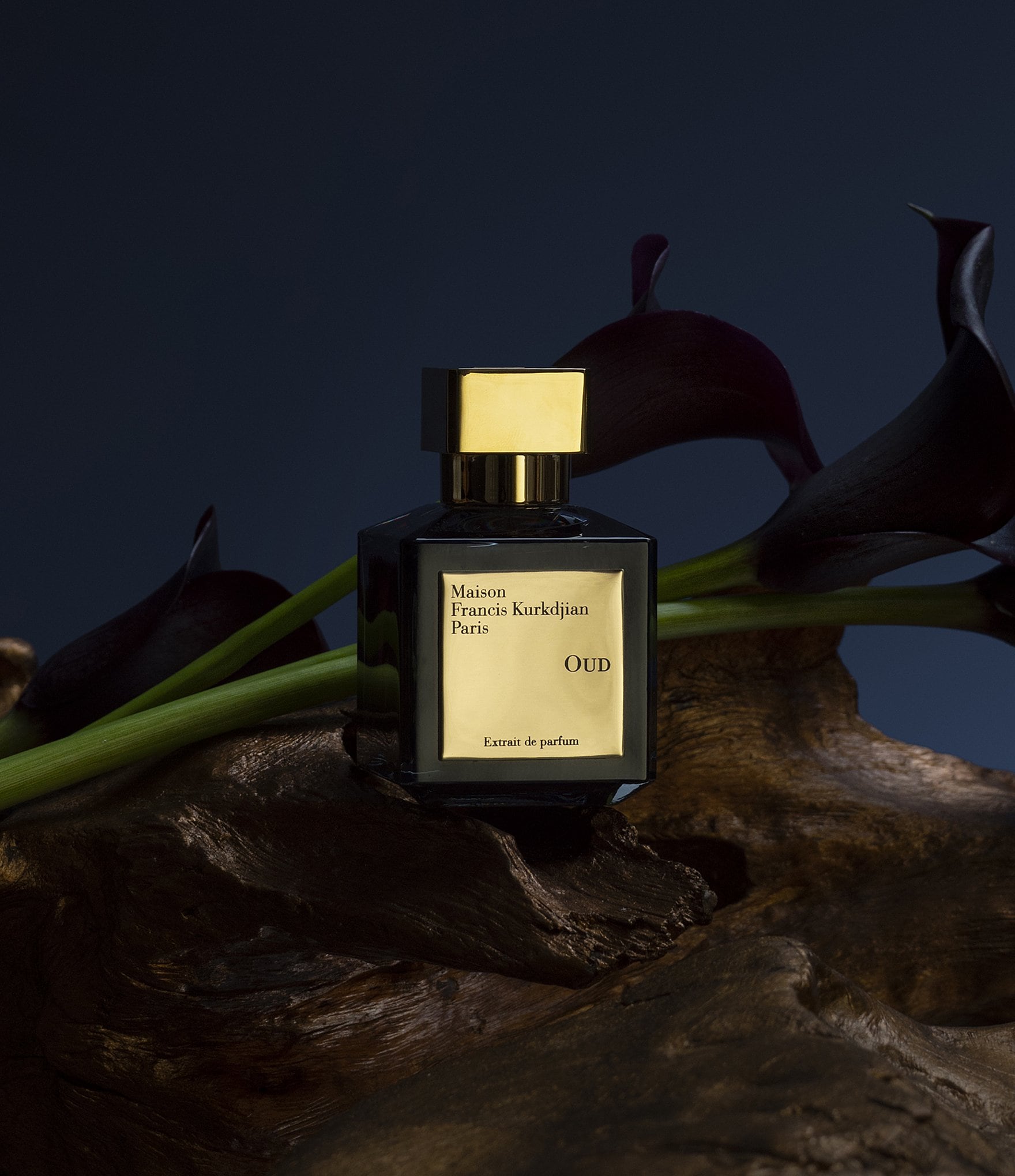 Maison Francis Kurkdjian OUD Extrait de Parfum