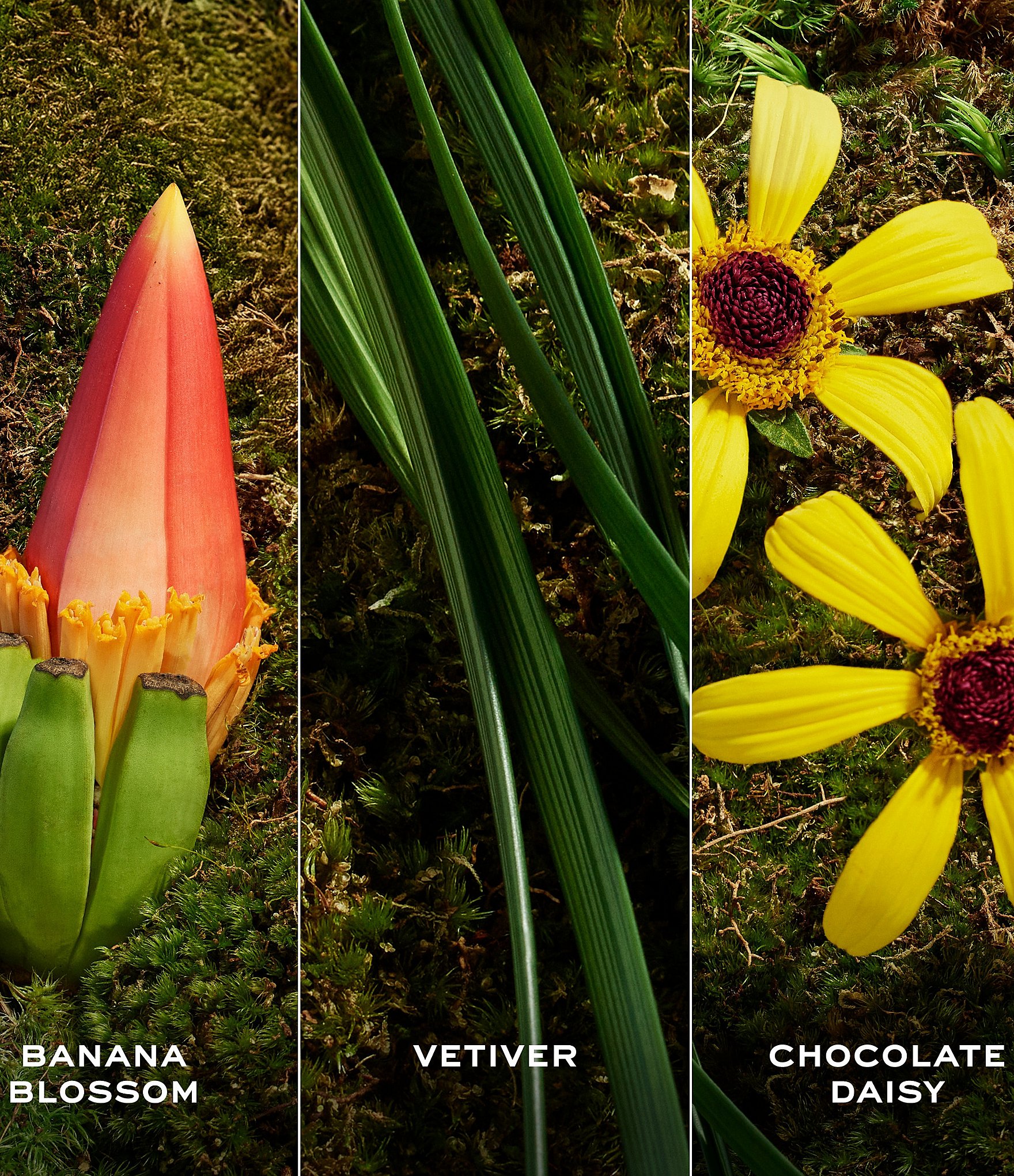 Marc Jacobs Daisy Wild Eau So Extra Eau de Parfum