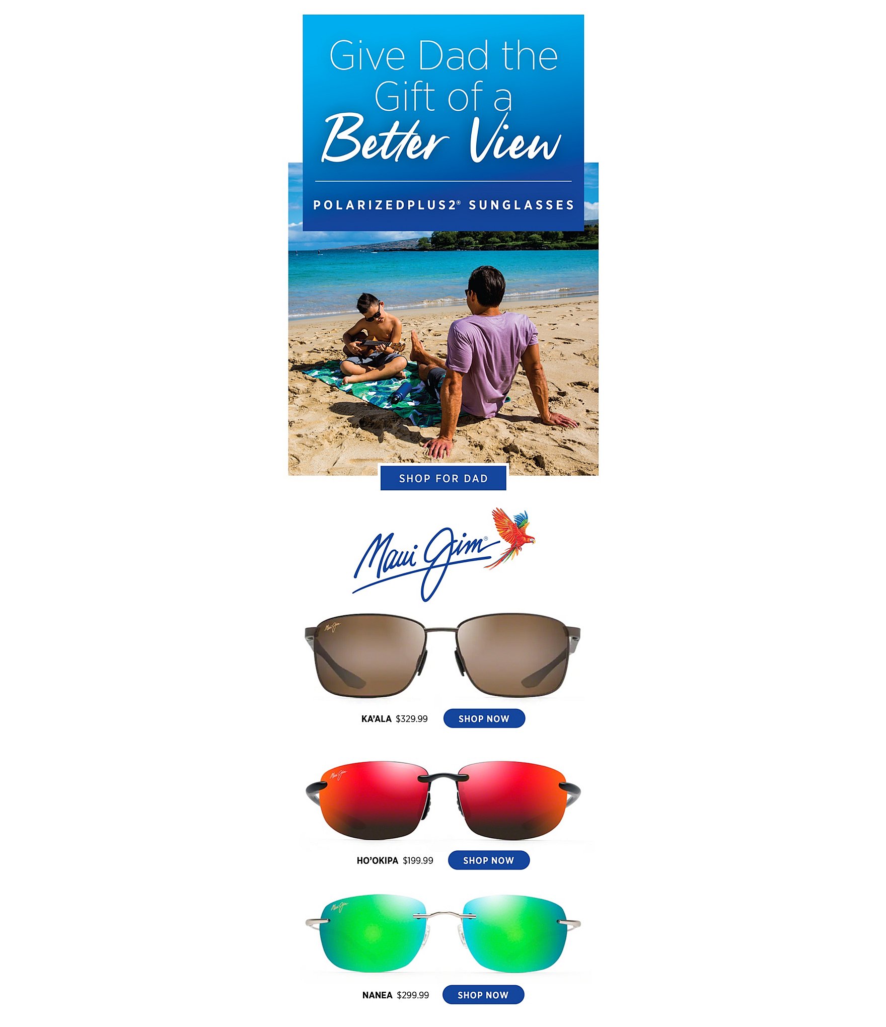 Maui Jim Ho'okipa PolarizedPlus2® Rimless 64mm Sunglasses