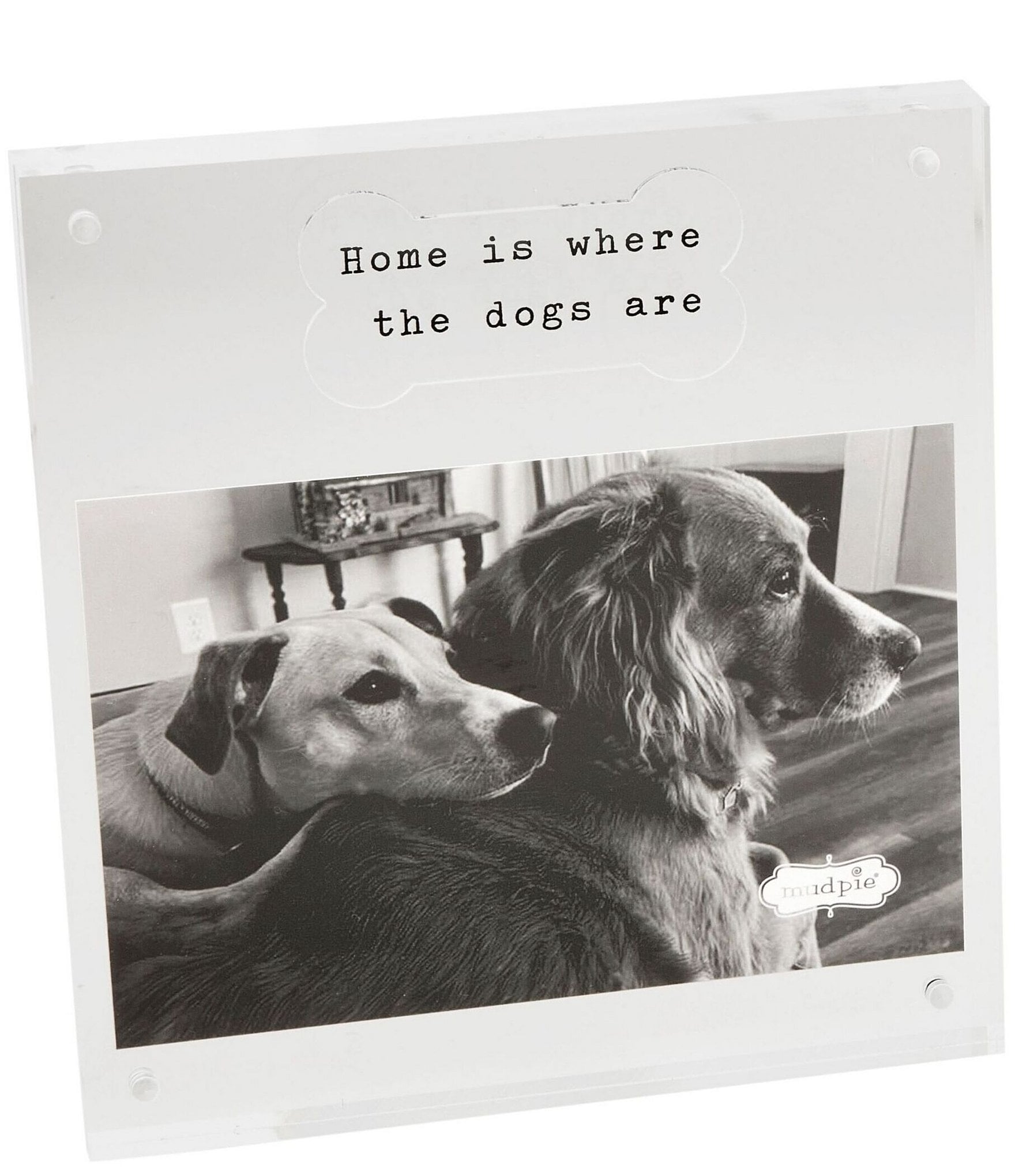 Mud Pie Bone Dog Acrylic Picture Frame, 4x6 | Dillard's