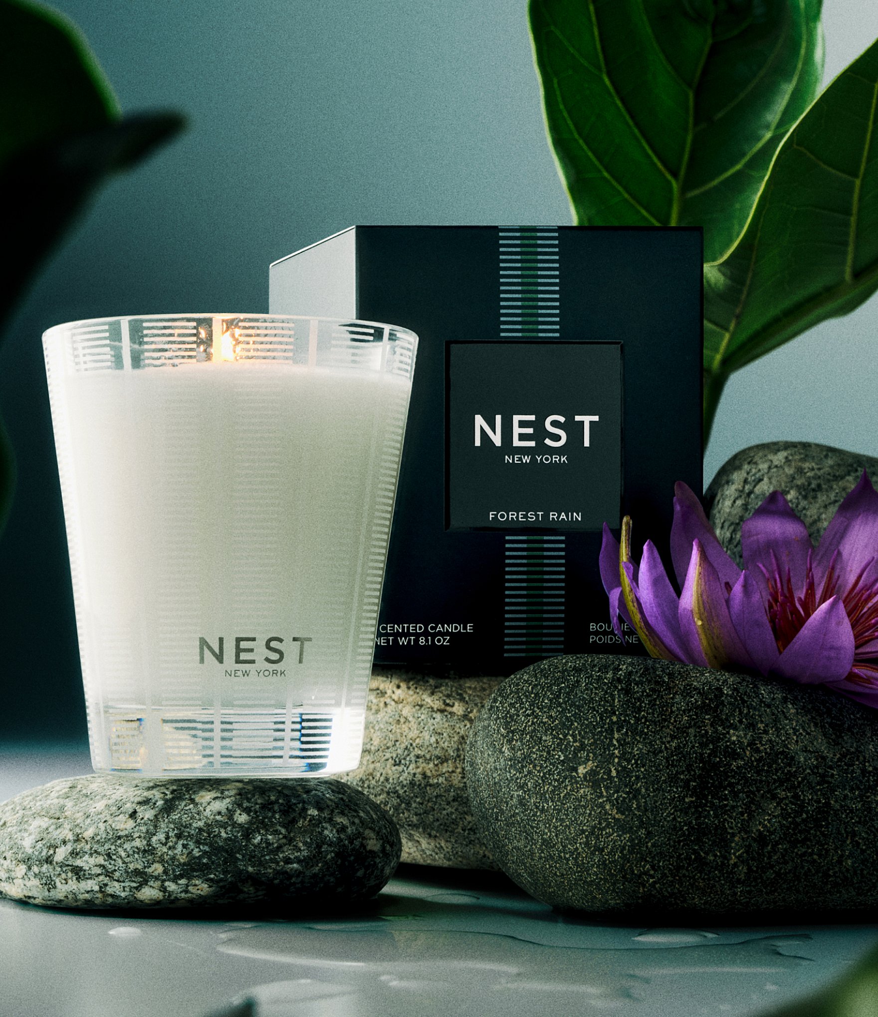 NEST New York Forest Rain Classic Candle, 8.1 oz.