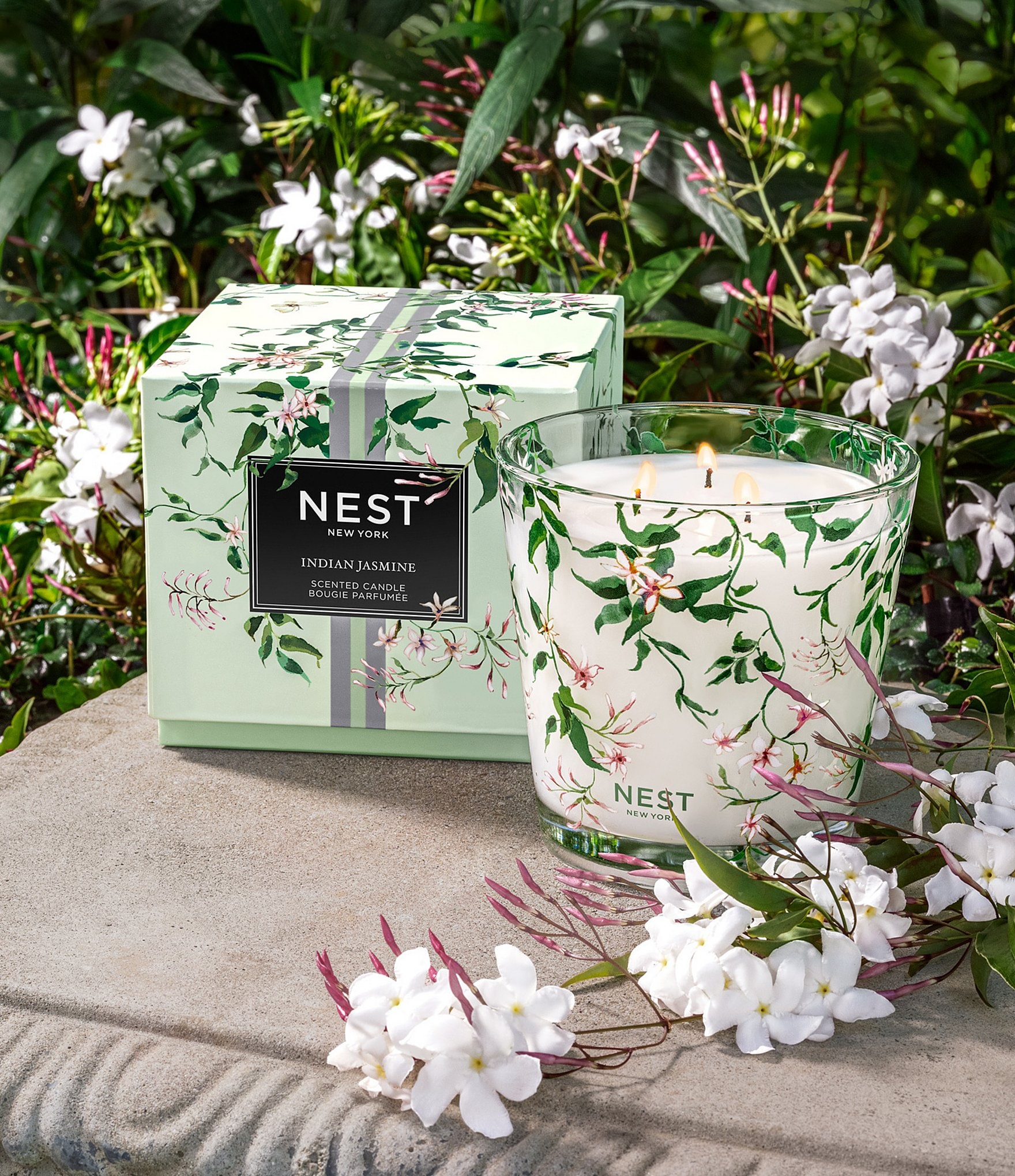 NEST New York Indian Jasmine Specialty 3-Wick Candle