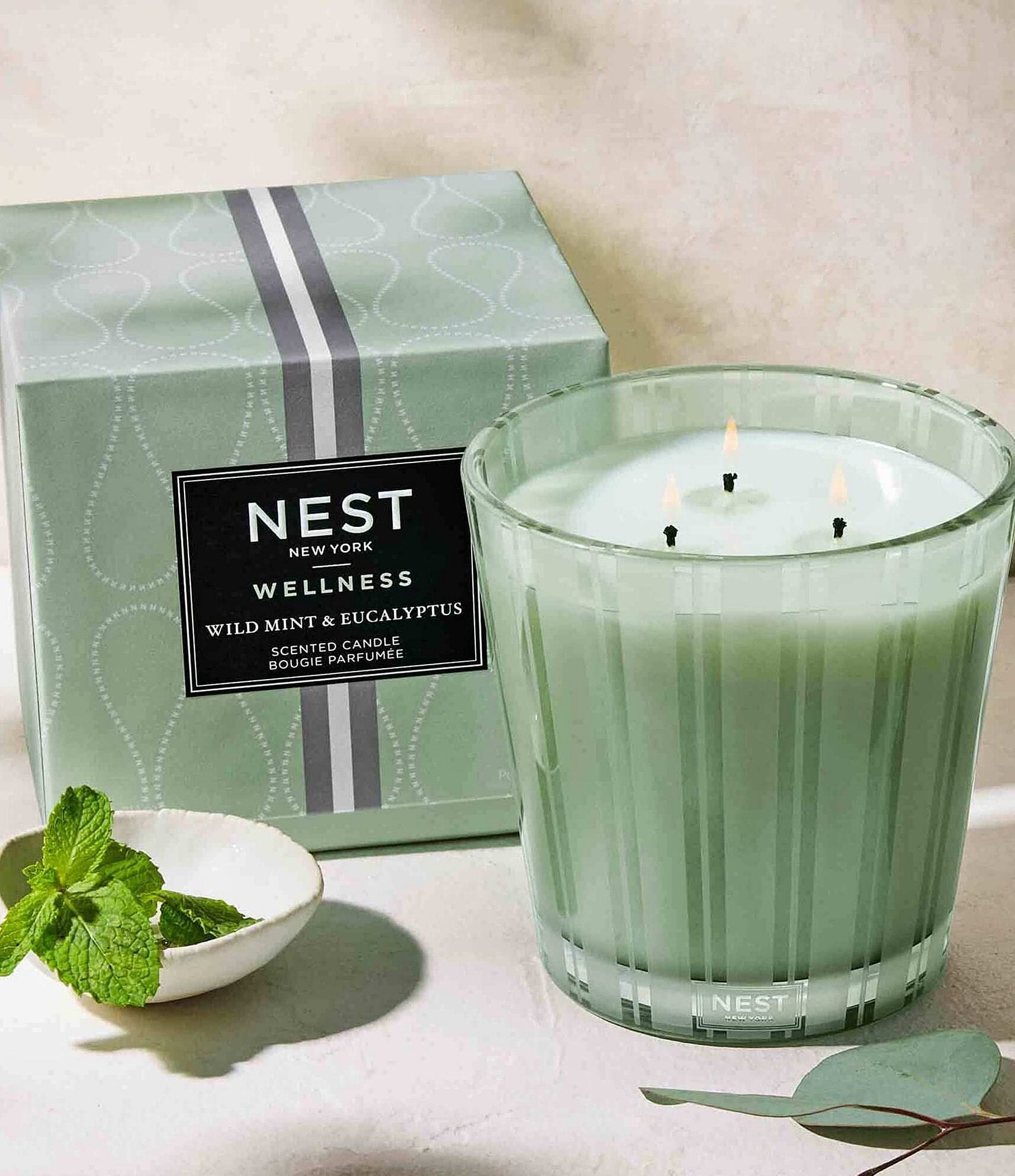 NEST New York Wild Mint & Eucalyptus 3-Wick Candle