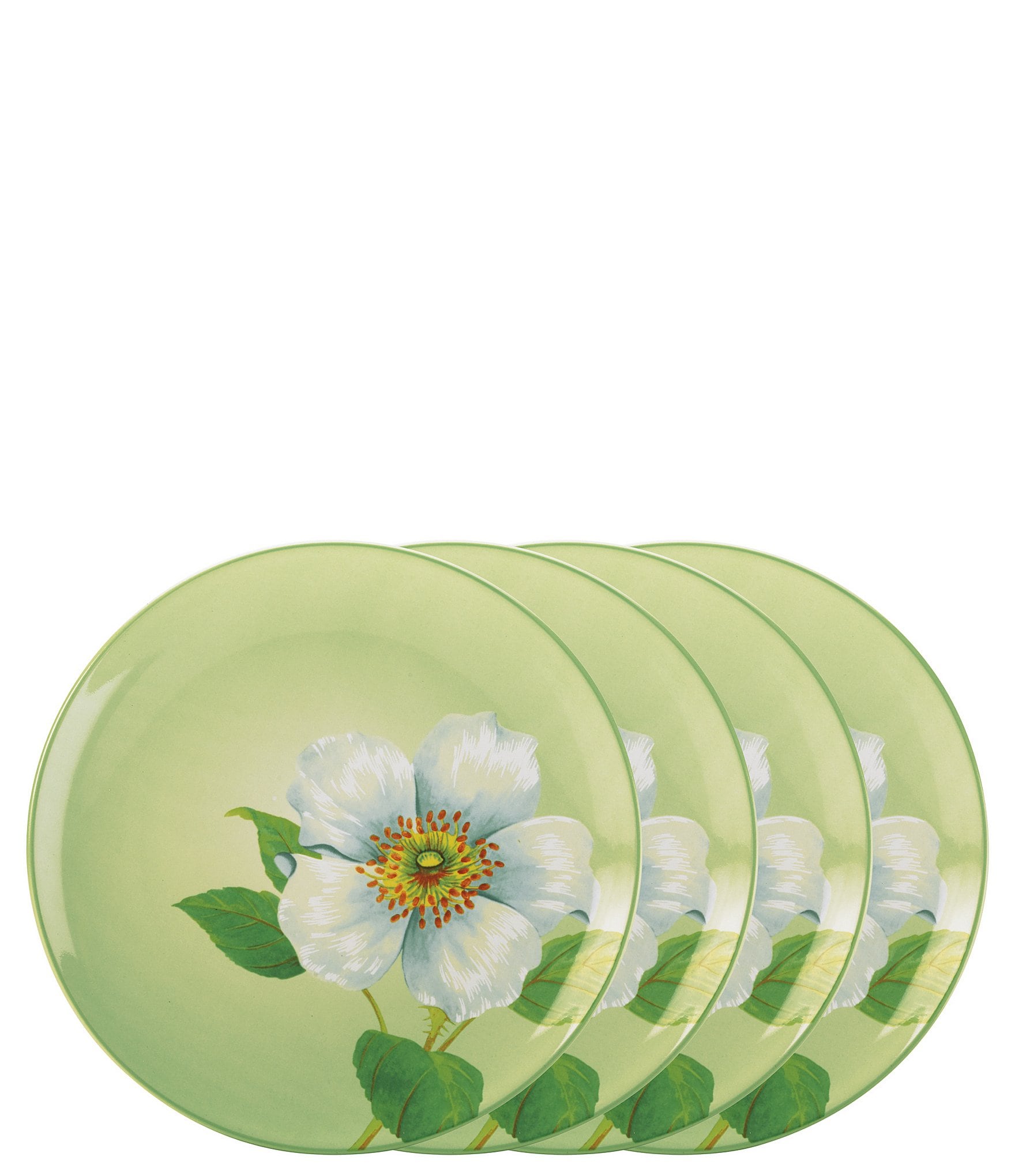 Noritake colorwave discount plates