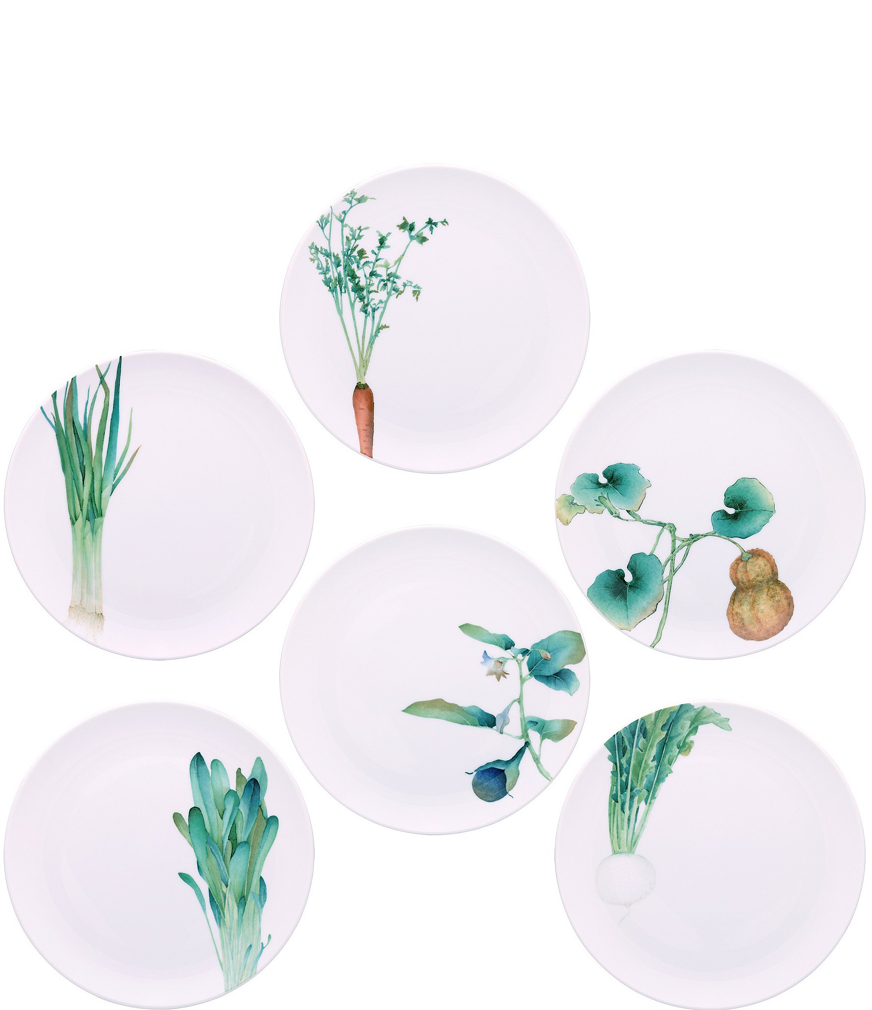 Noritake Kyoka Shunsai Collection Set of 6 Assorted Salad Plates