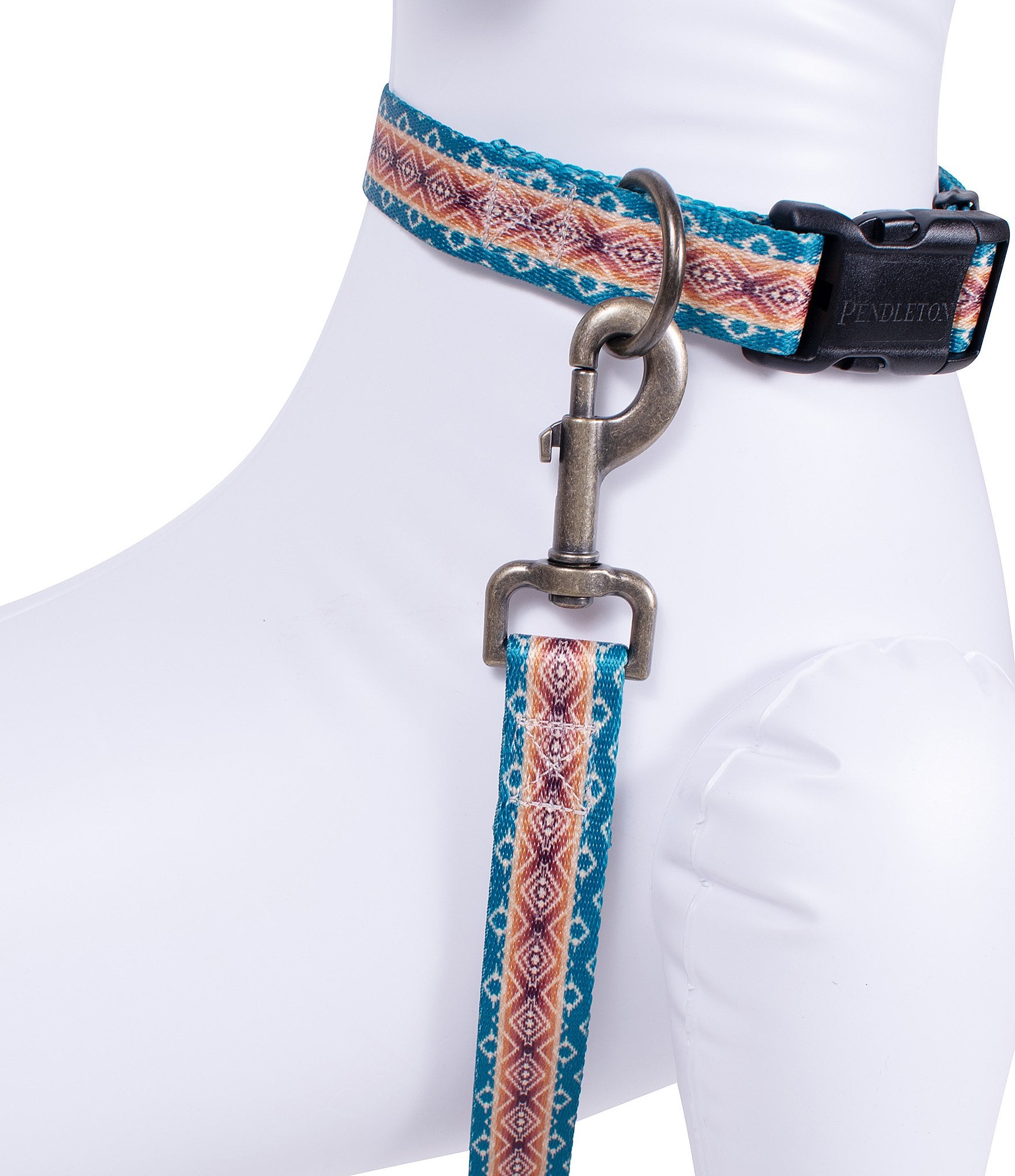 Pendleton Pagosa Spring Adventure Adjustable Dog Collar